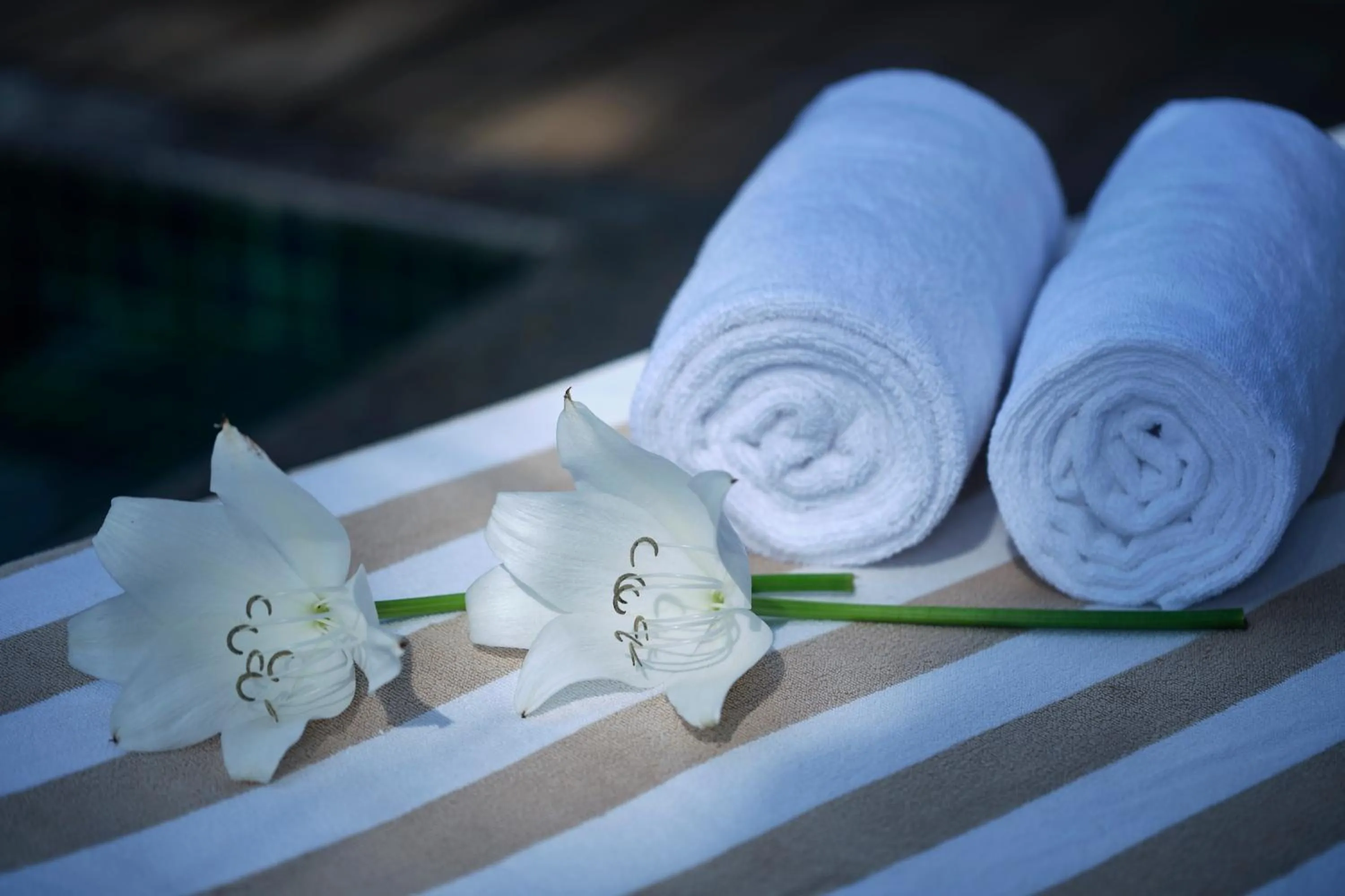 towels in Reen Resorts Aanavilasam Plantation Thekkady