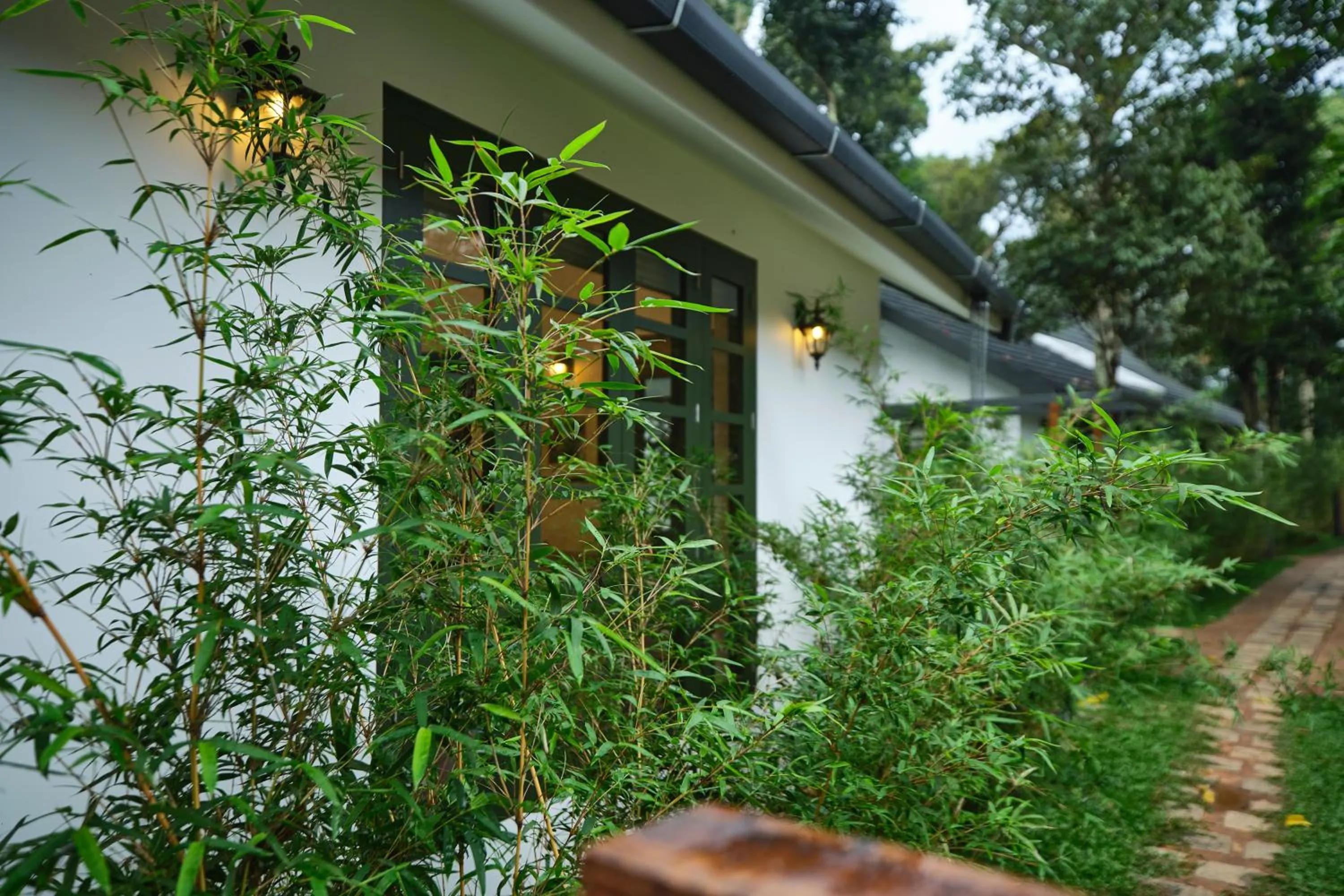 View (from property/room) in Reen Resorts Aanavilasam Plantation Thekkady