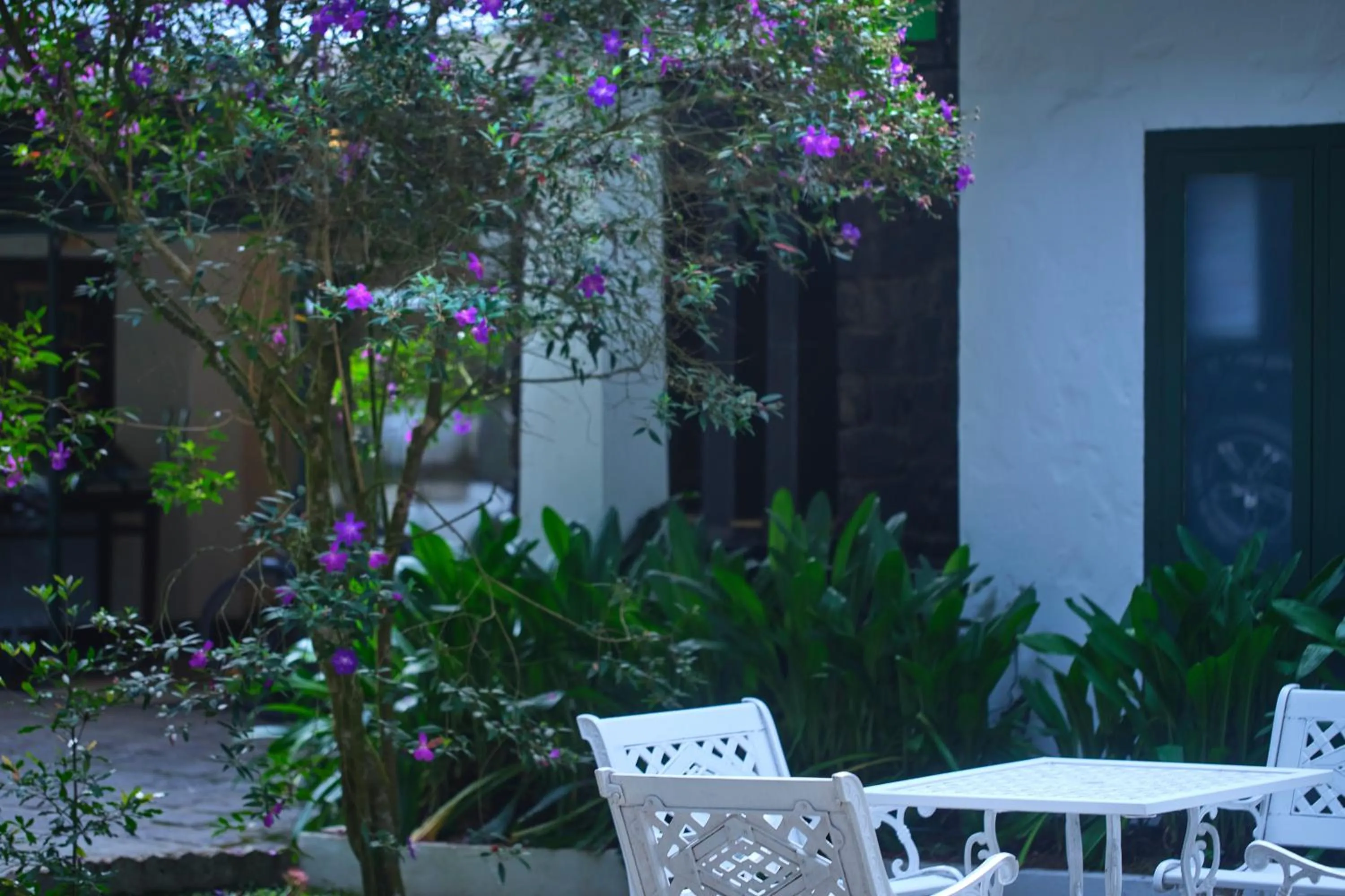 Patio in Reen Resorts Aanavilasam Plantation Thekkady