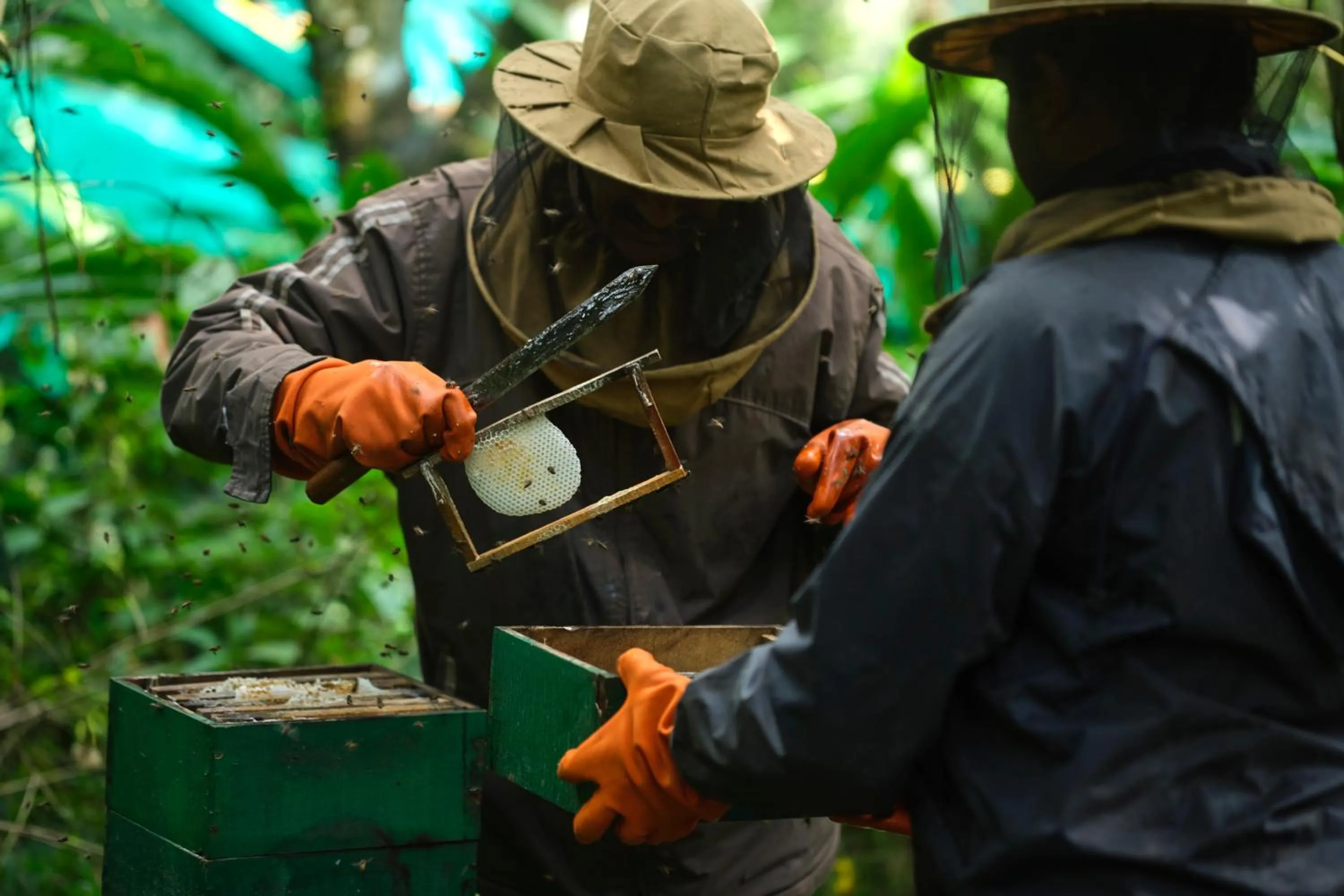 People in Reen Resorts Aanavilasam Plantation Thekkady