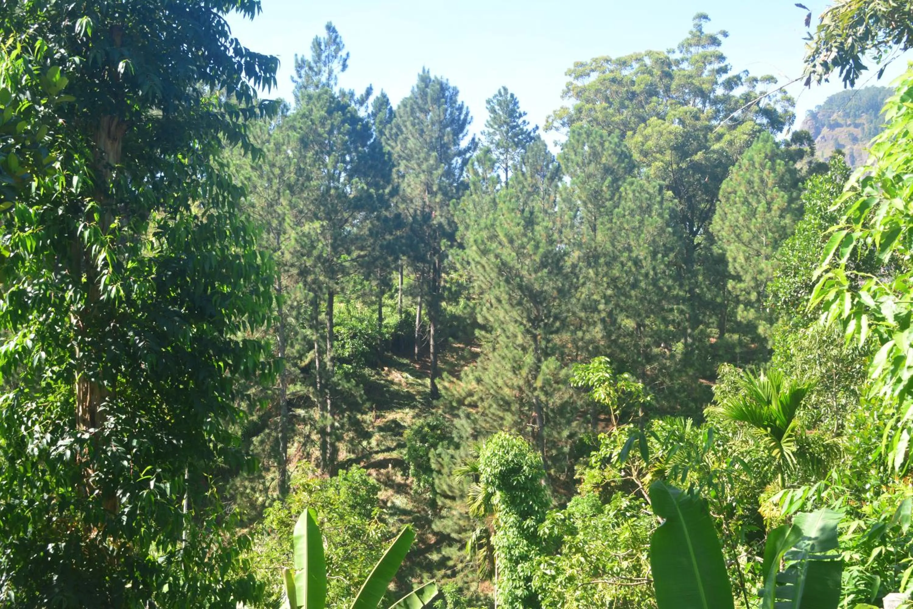 Mountain view in Samiru Guest Inn Ella