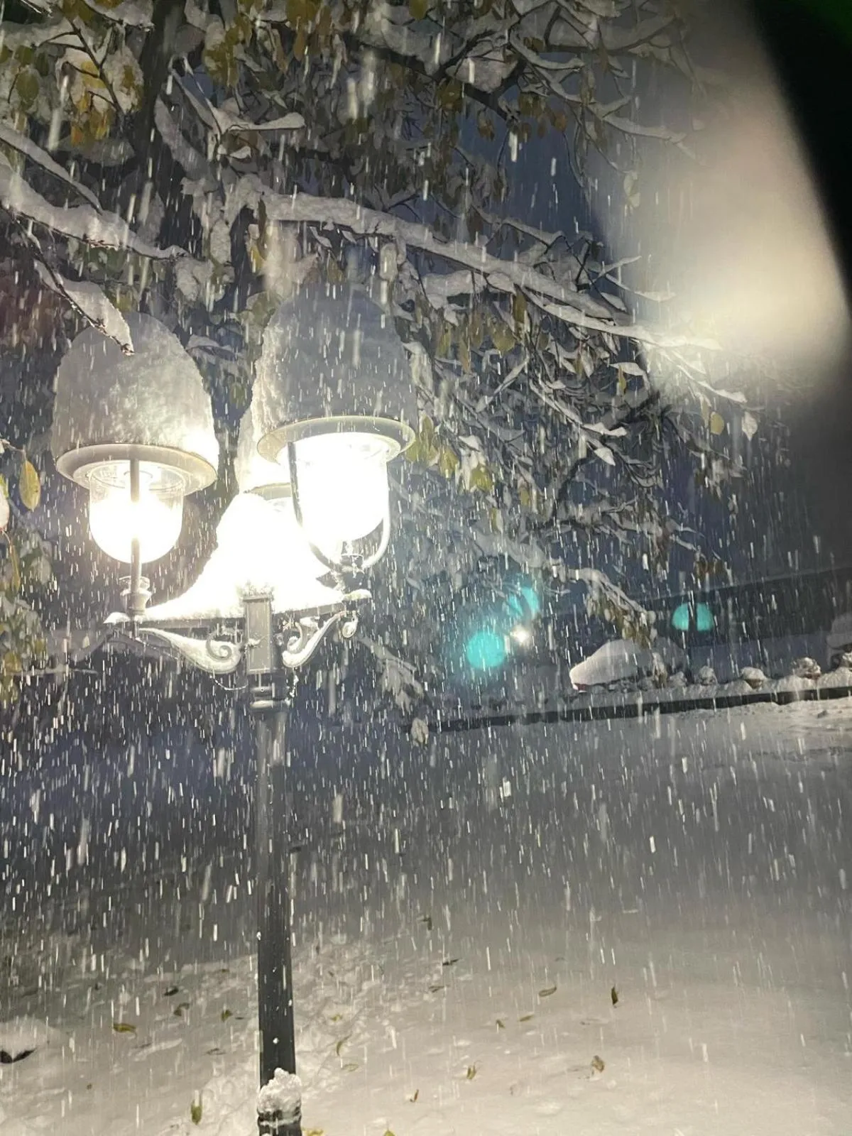 Winter in La Vigne de Papagran