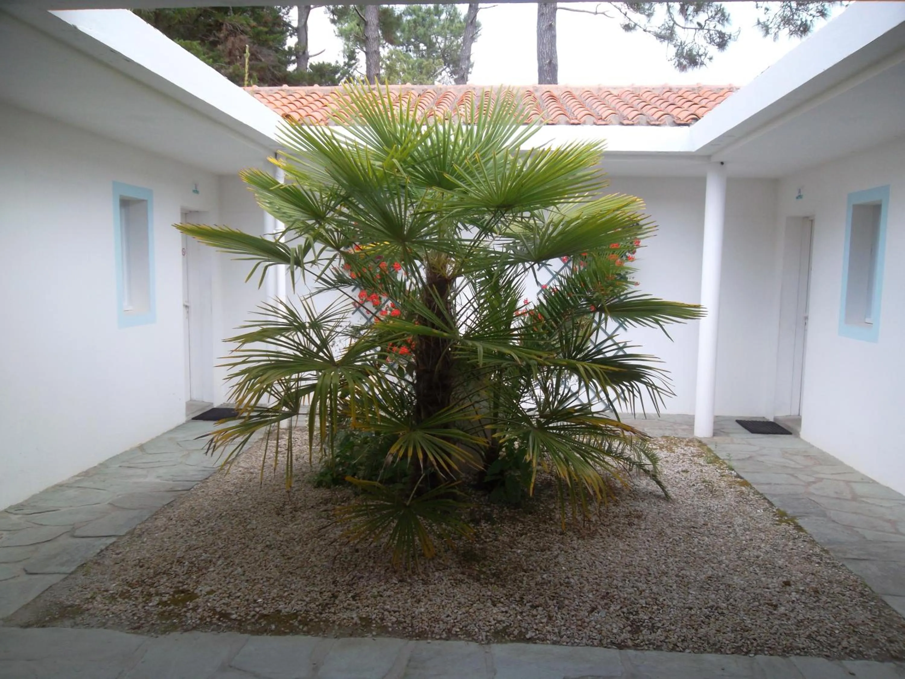 Garden in Le Hameau de l'Ocean