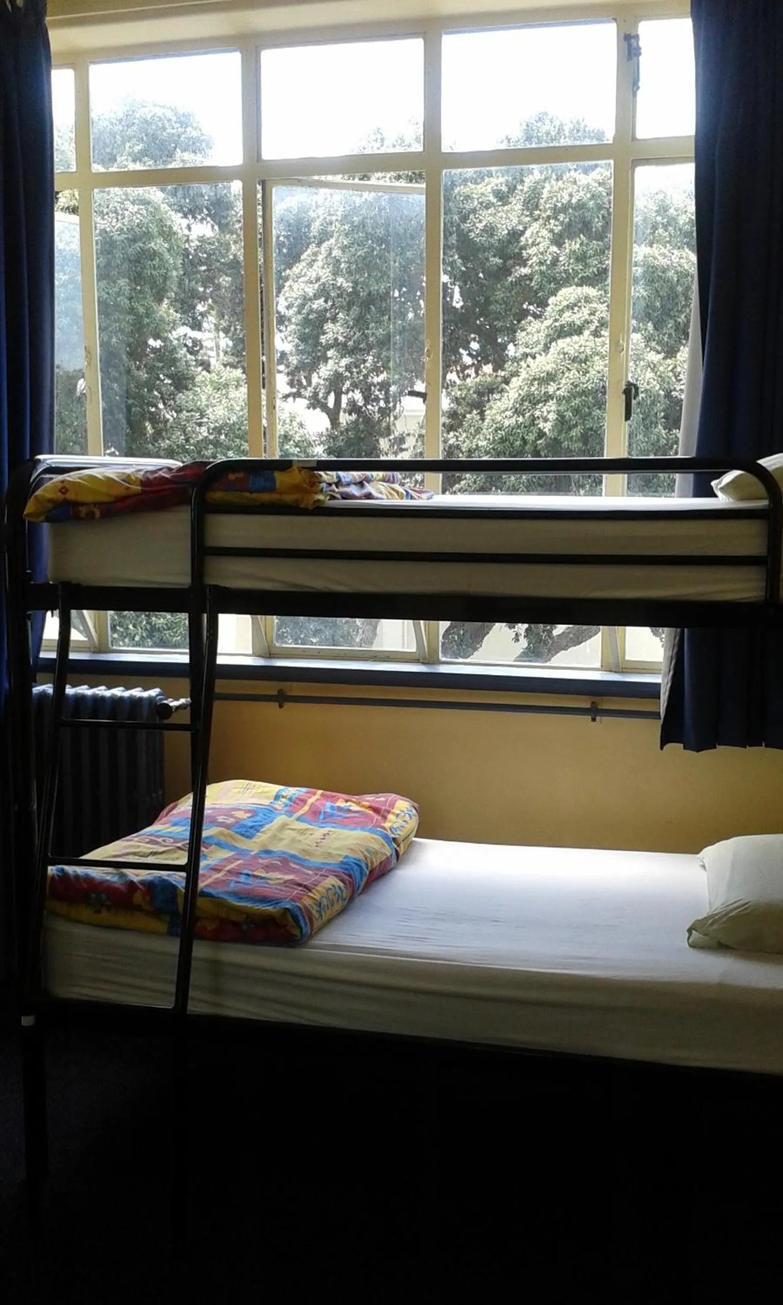 Bed in Archies Bunker Affordable Accommodation