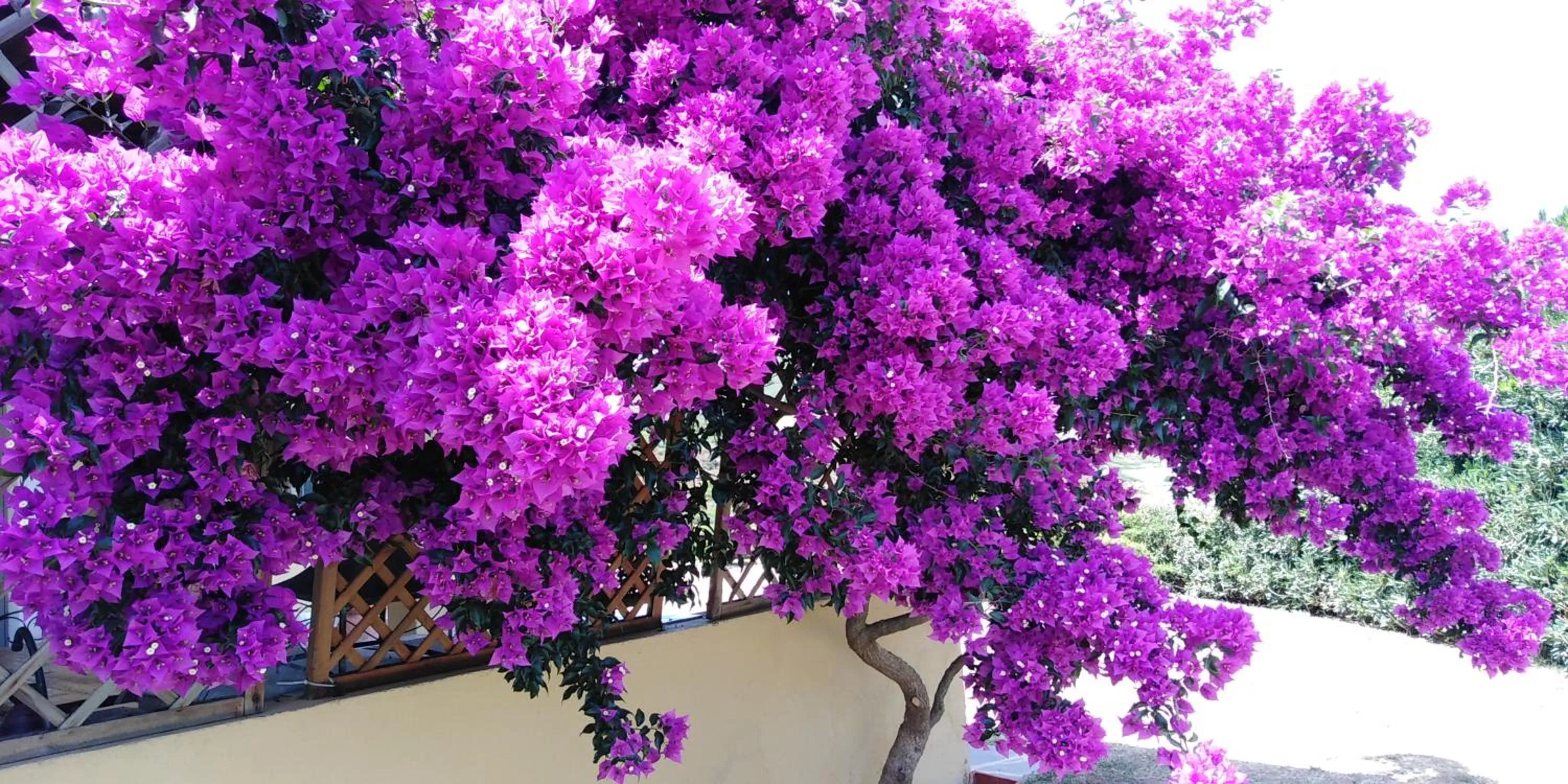 Spring in B&B Calata Di Soli