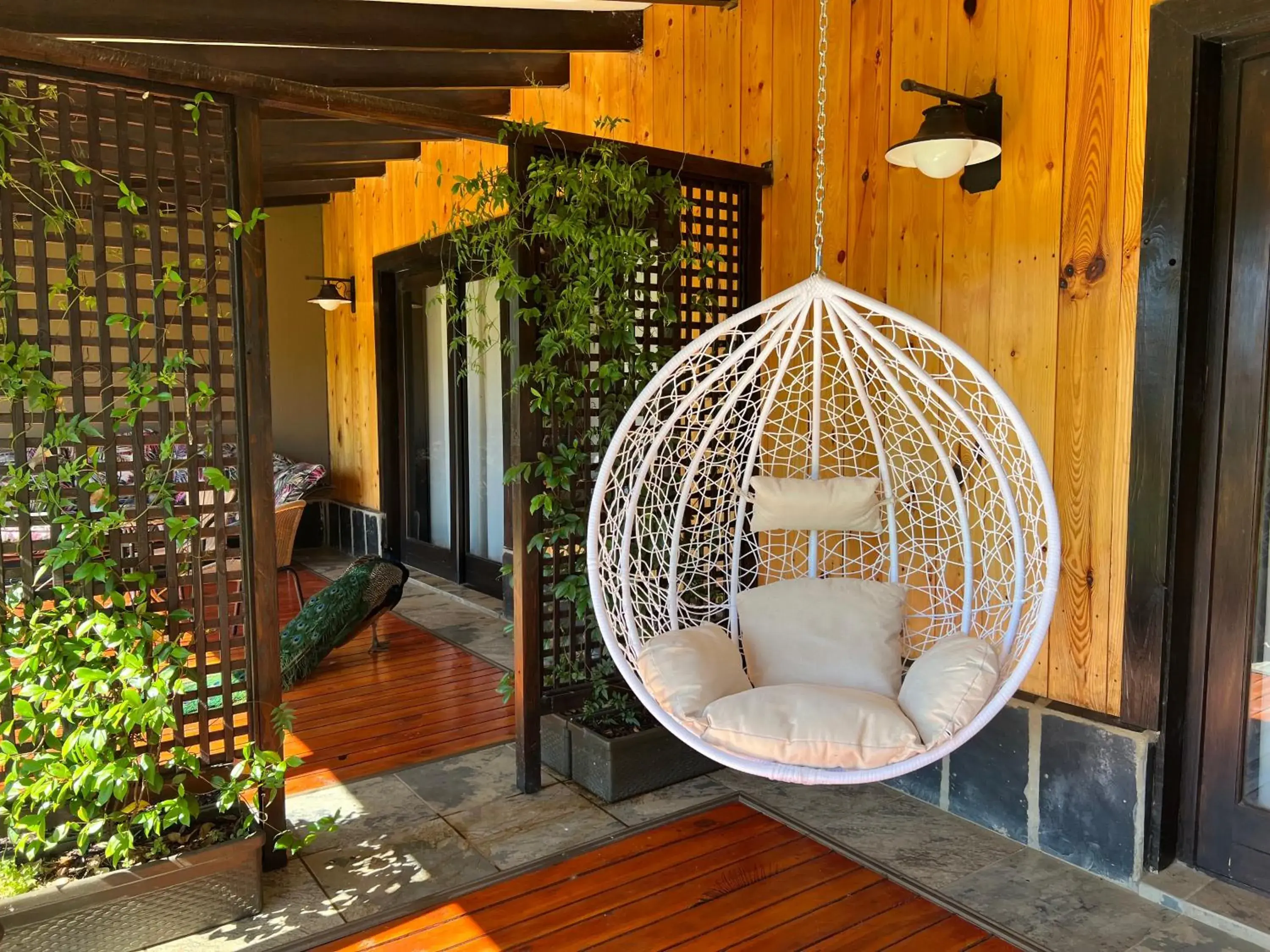 Luxury Queen Room - single occupancy in Malachite Manor Luxury Queen Room - single occupancy in Malachite Manor