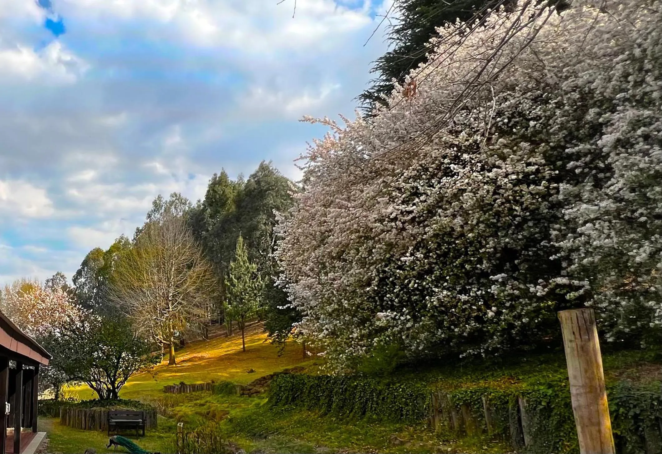 Luxury Triple Room - single occupancy in Malachite Manor