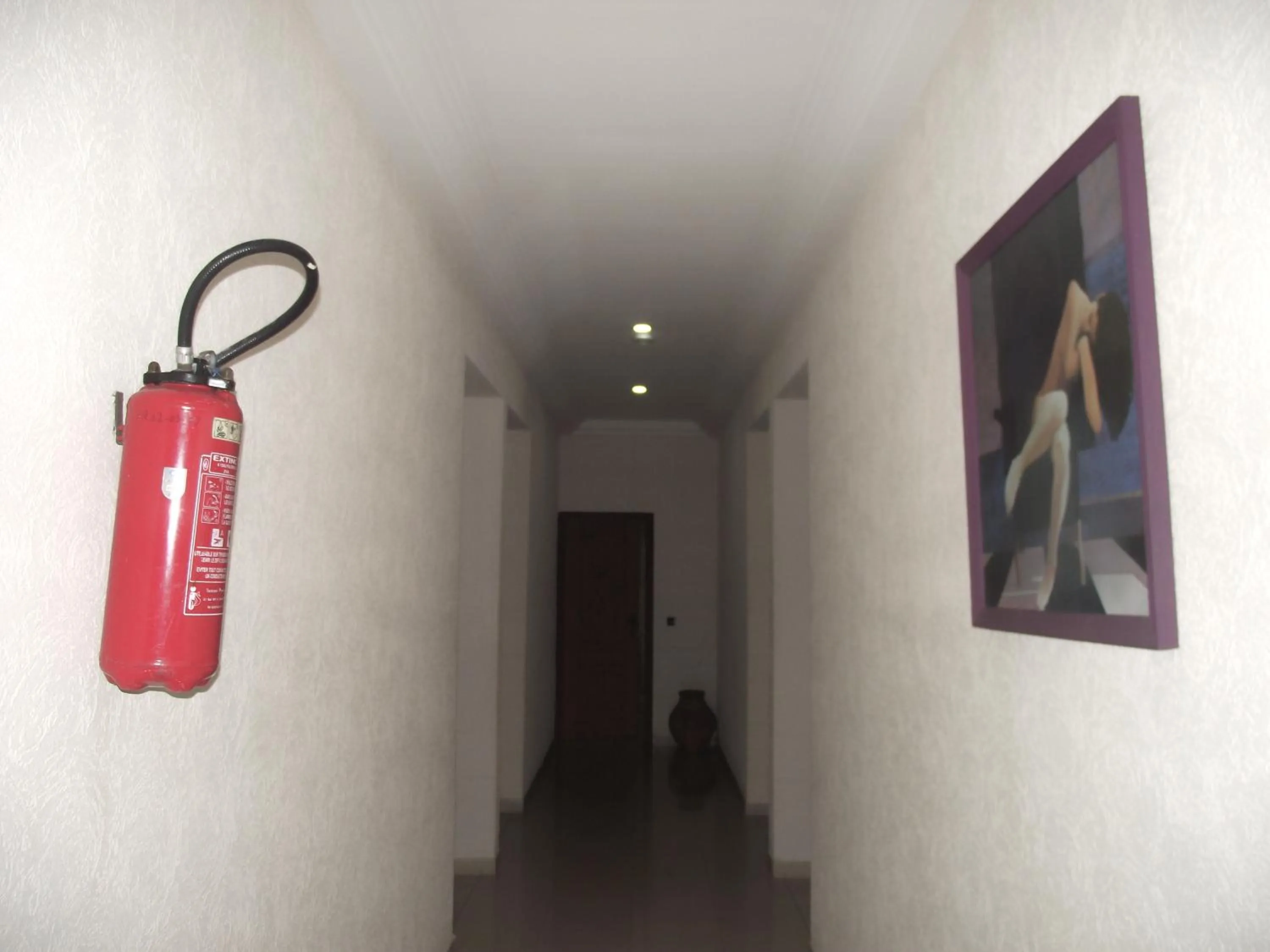 Area and facilities in Hotel Ghis Palace