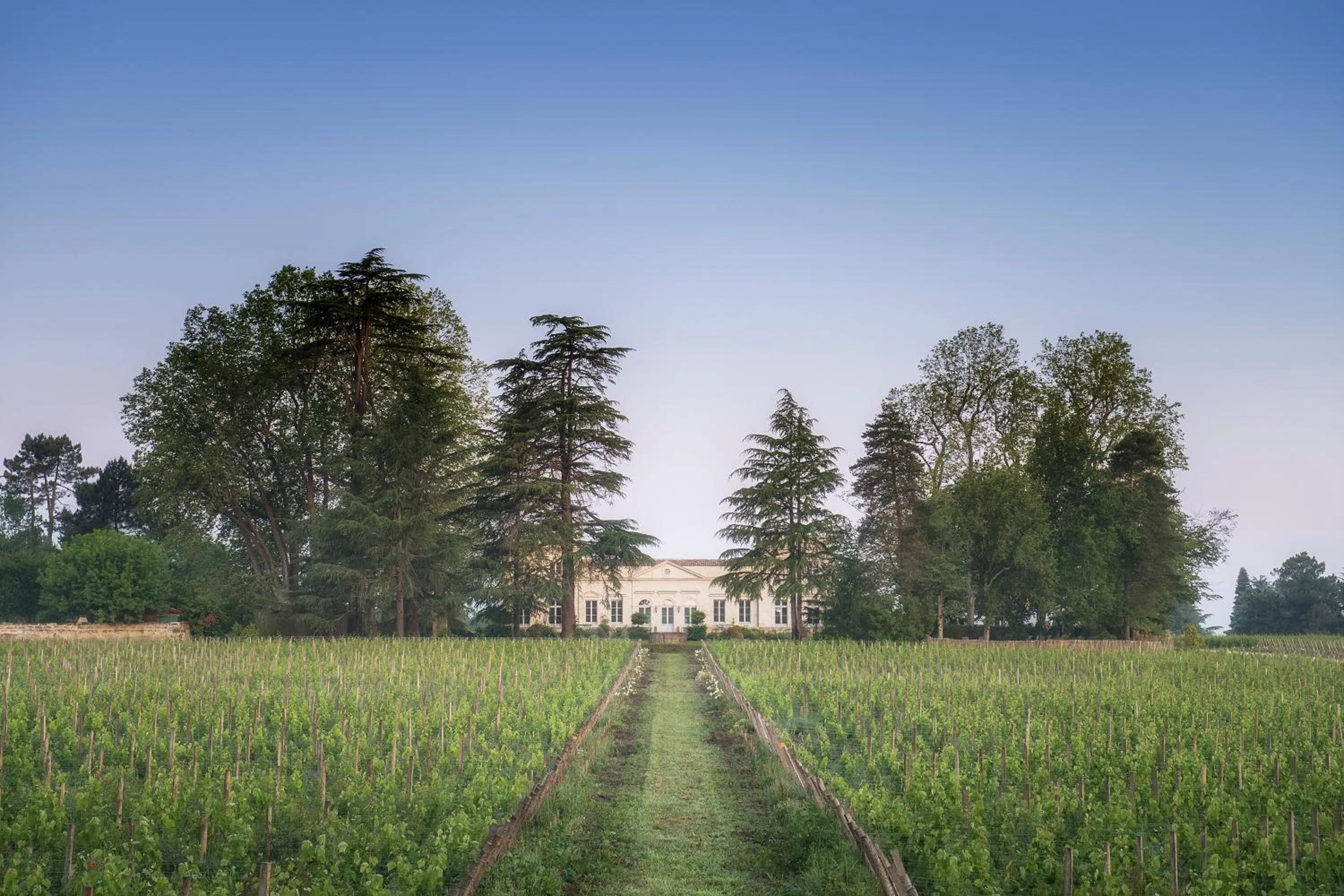 Facade/entrance in La Chartreuse Haut-Bailly - Anciennement Château Le Pape
