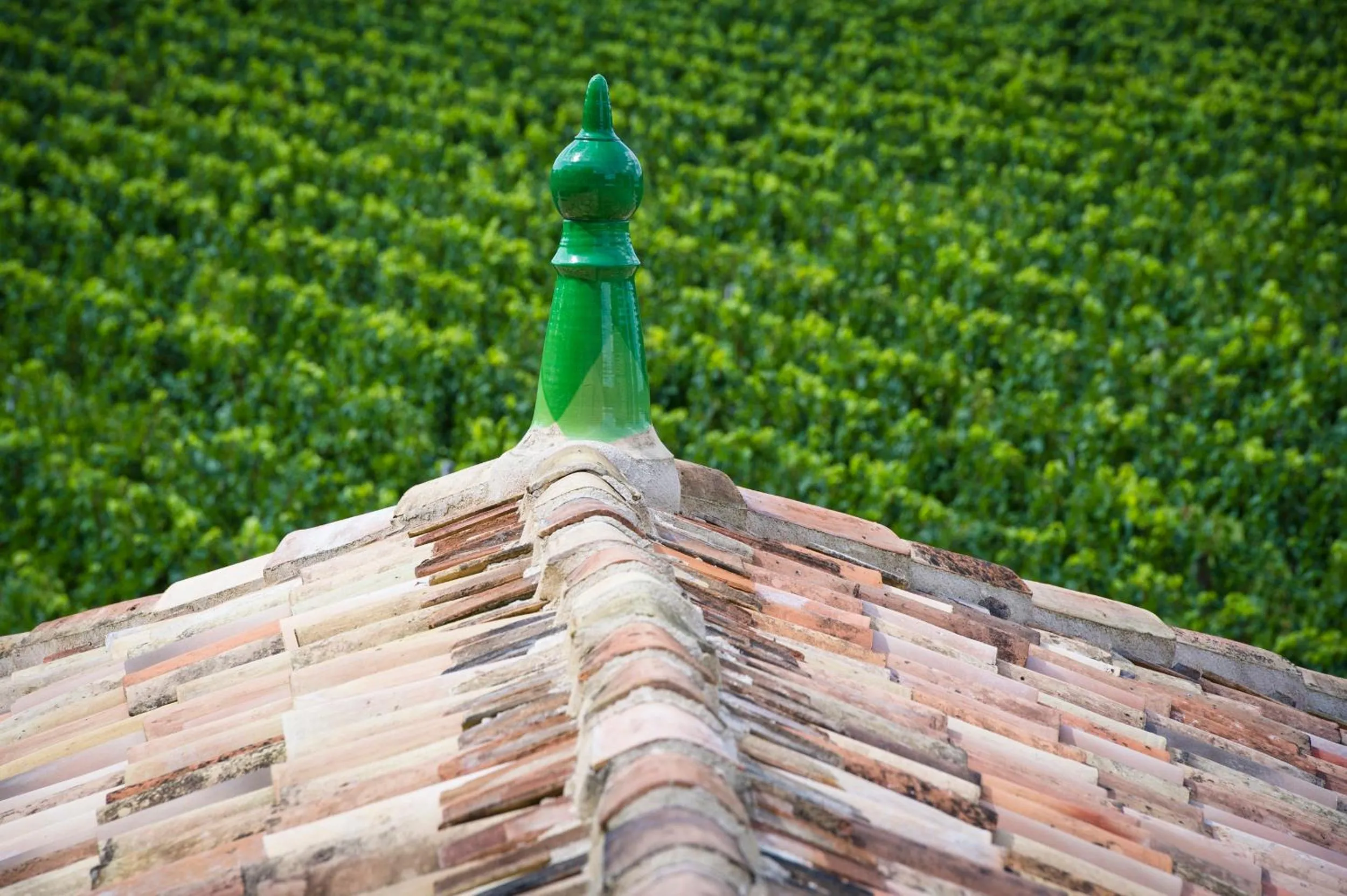 Natural landscape in La Chartreuse Haut-Bailly - Anciennement Château Le Pape