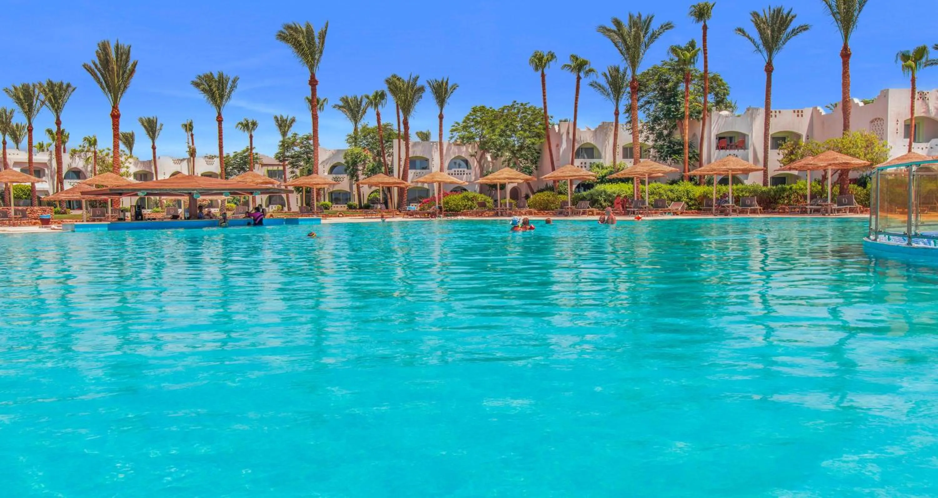 Swimming pool in Domina Coral Bay Resort, Diving , Spa & Casino