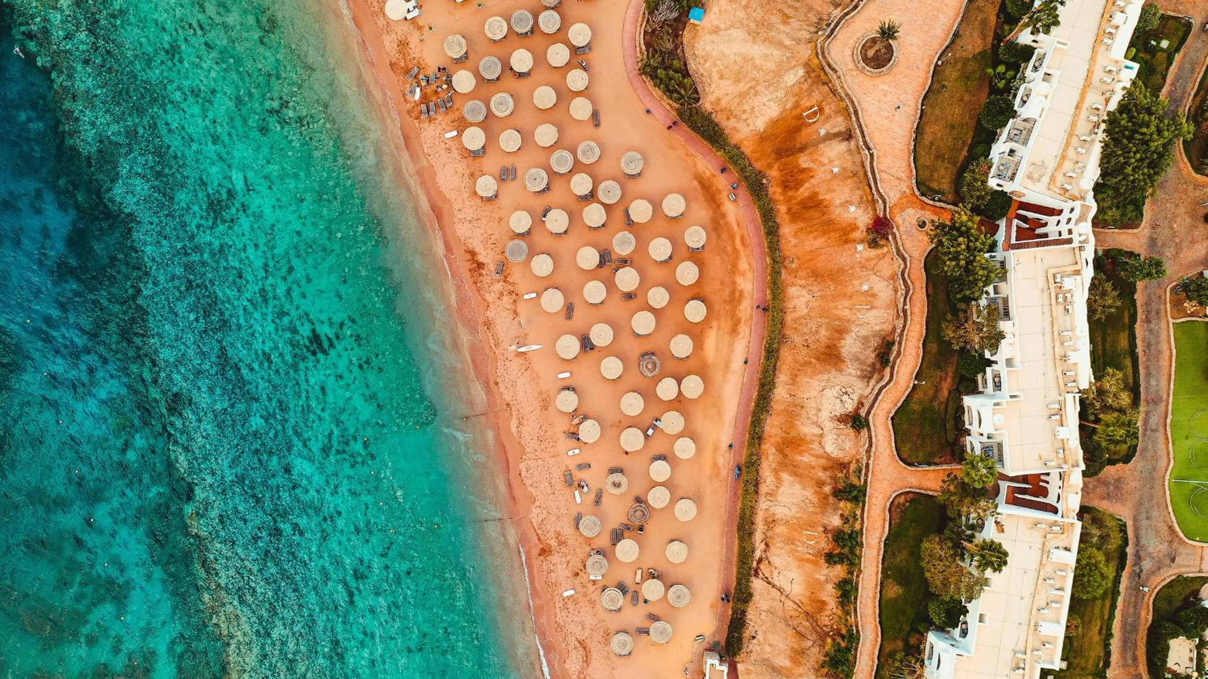 Pets in Domina Coral Bay Resort, Diving , Spa & Casino