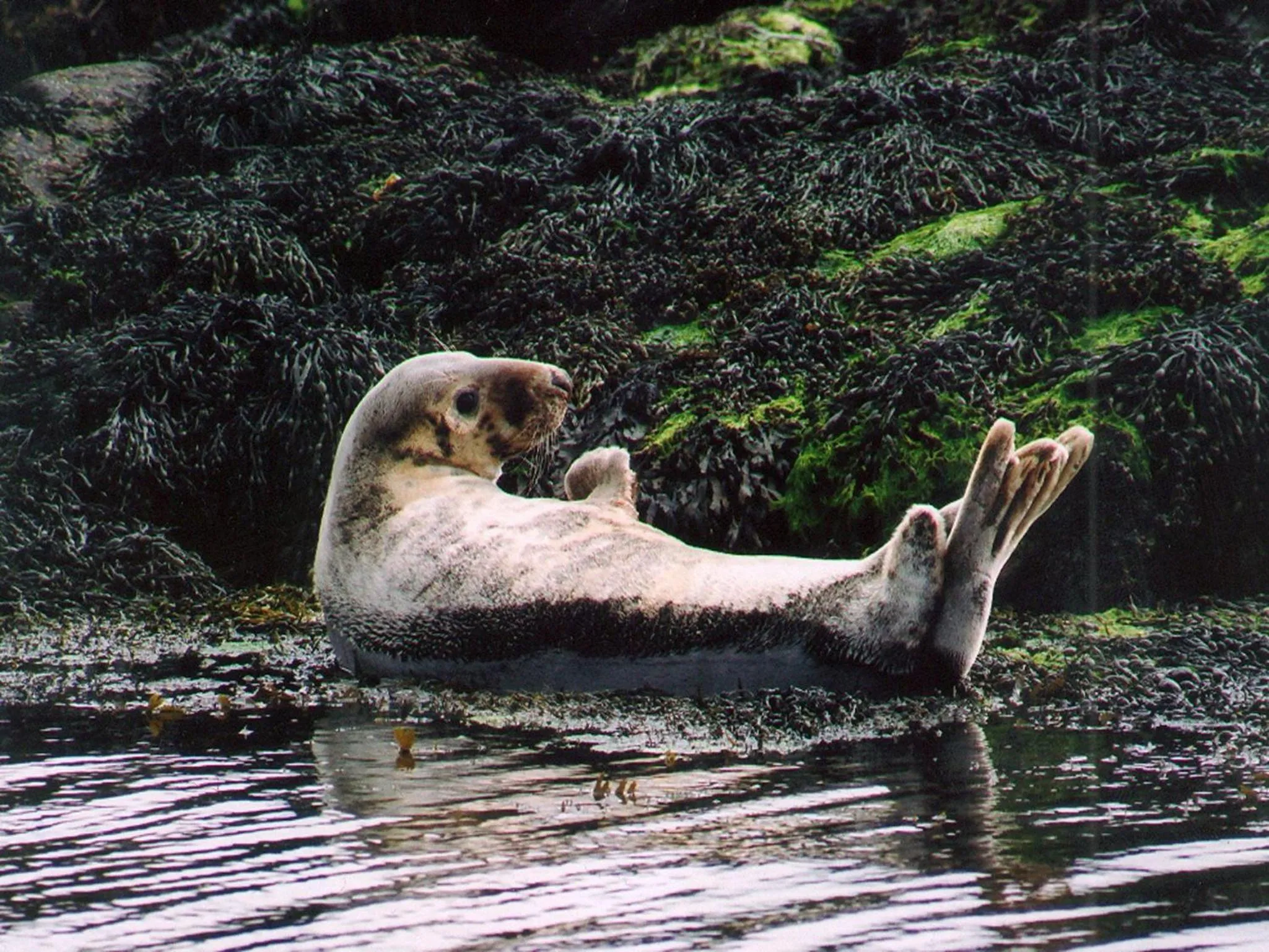 Area and facilities in The Isles of Glencoe Hotel