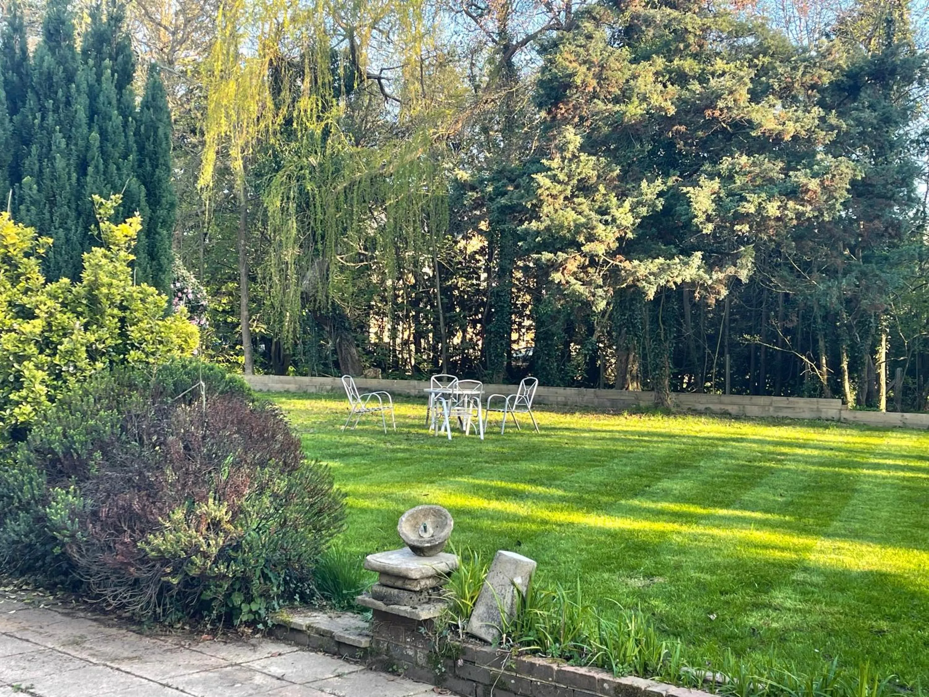 Garden in Da Vinci Guest House & Guest Parking, A Real Gem