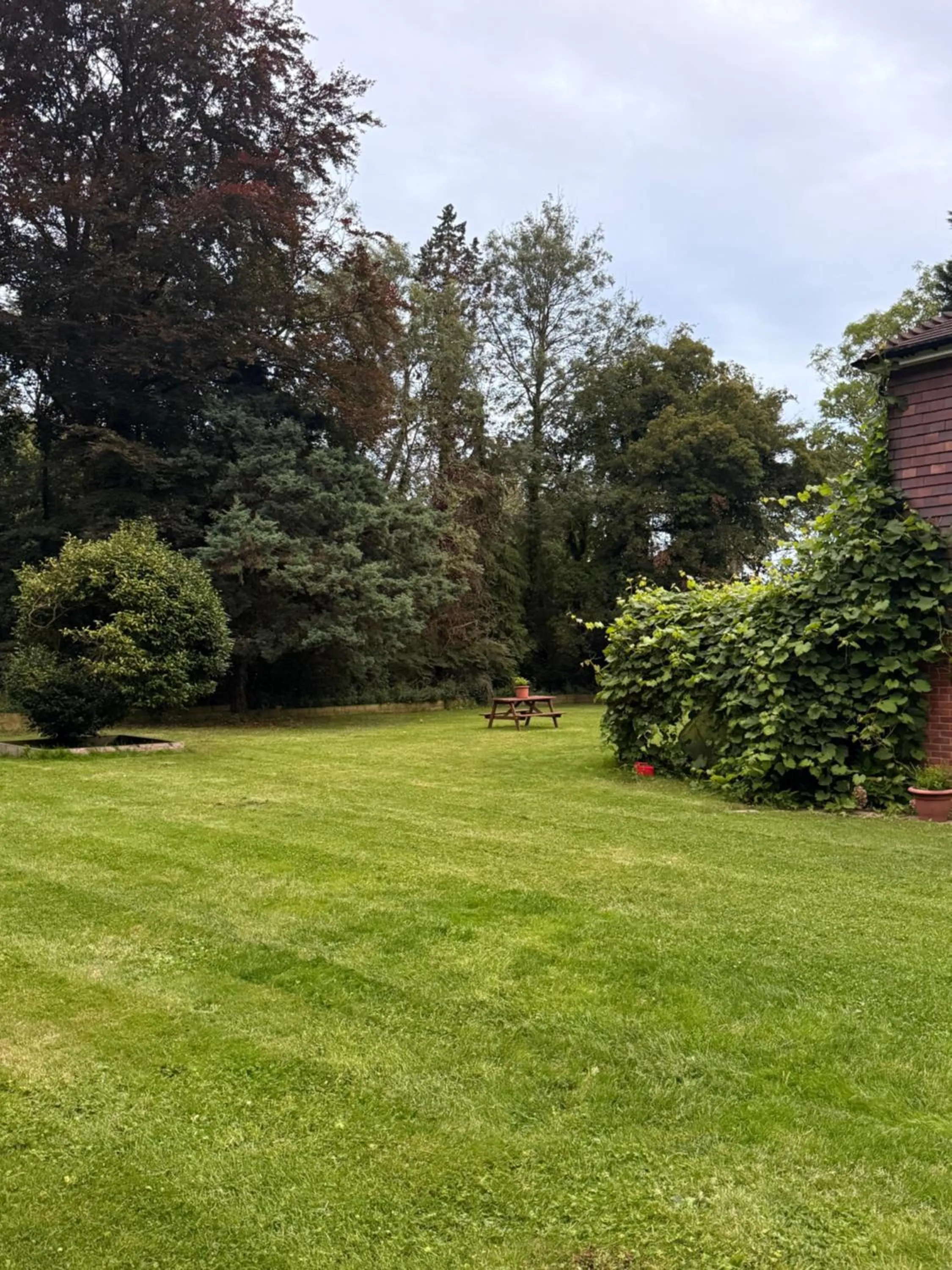 Garden view in Da Vinci Guest House & Guest Parking, A Real Gem