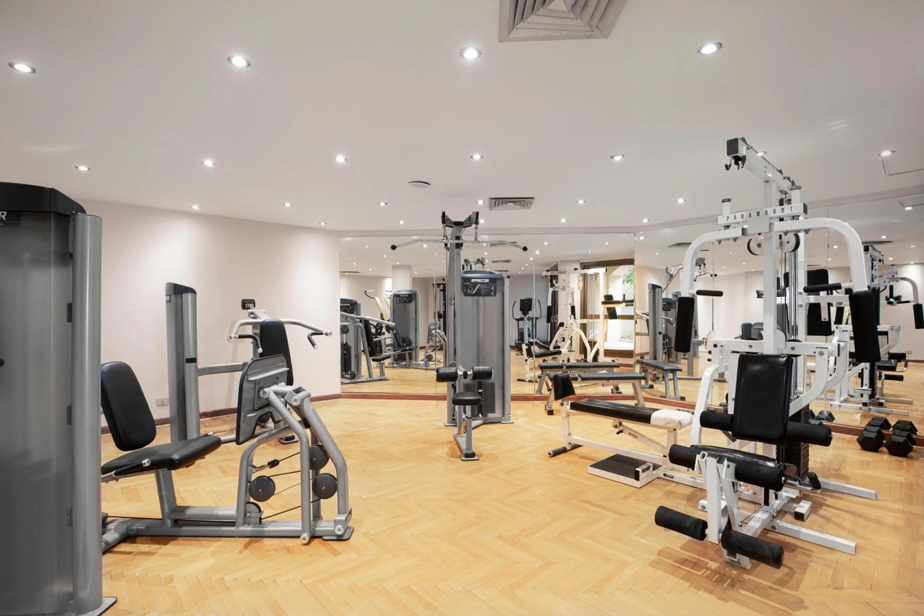 Activities in Pyramisa Island Hotel Aswan