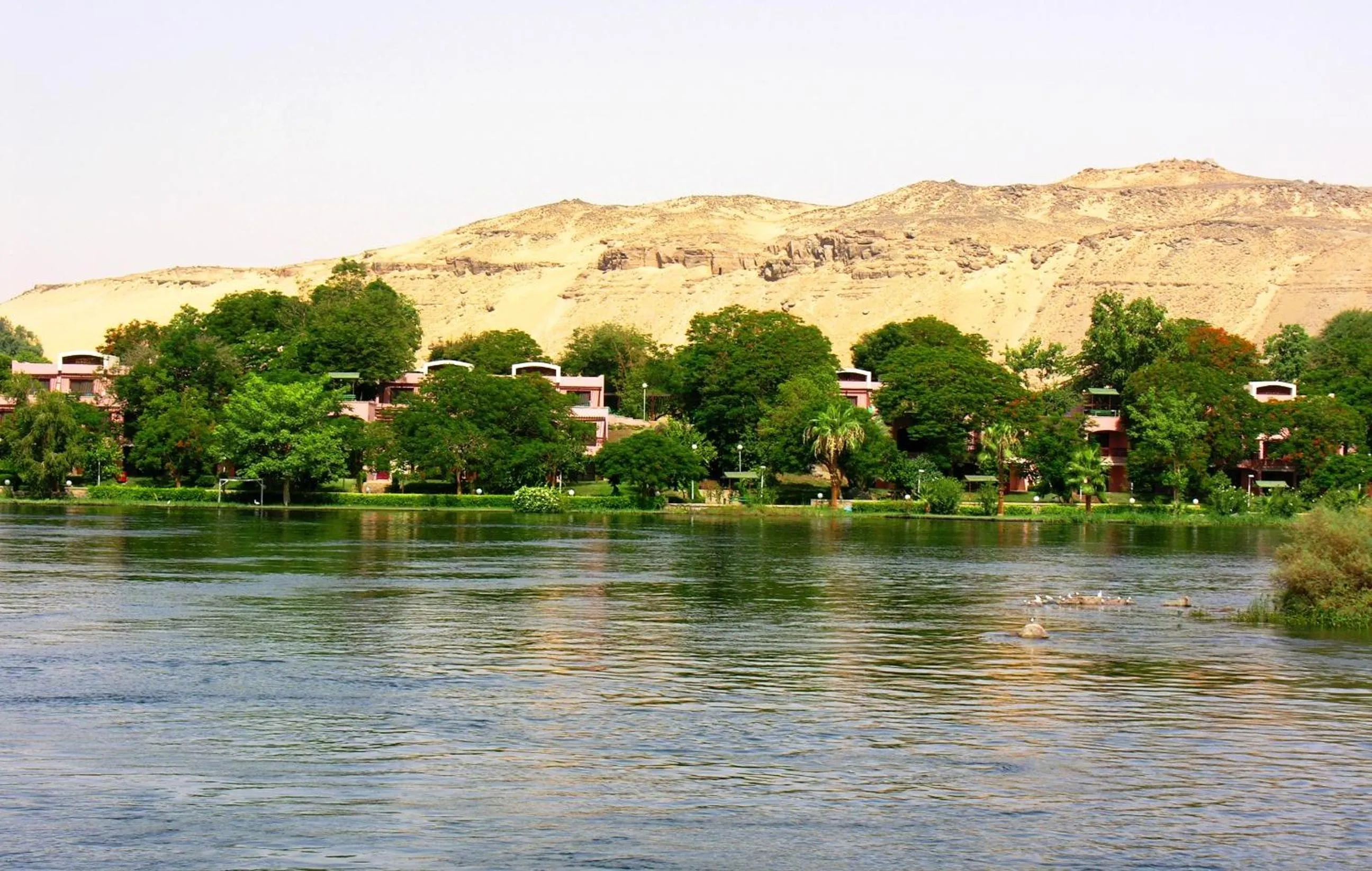 Natural landscape in Pyramisa Island Hotel Aswan