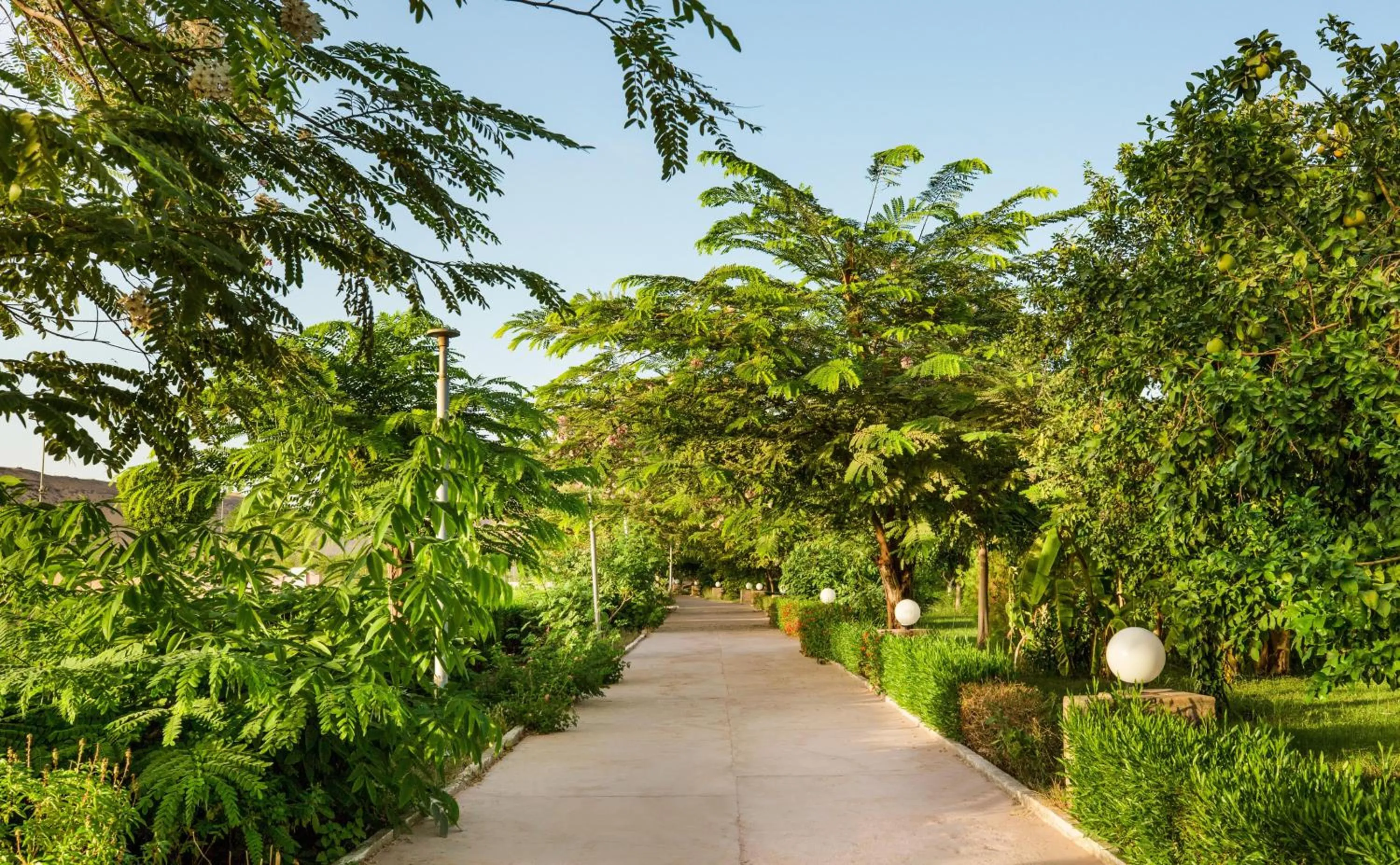 Garden in Pyramisa Island Hotel Aswan