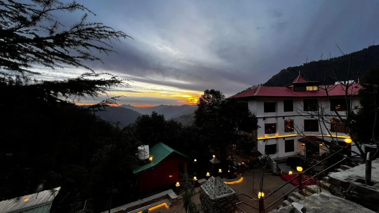 The JUNGLE STORY BY HEADQUARTER
