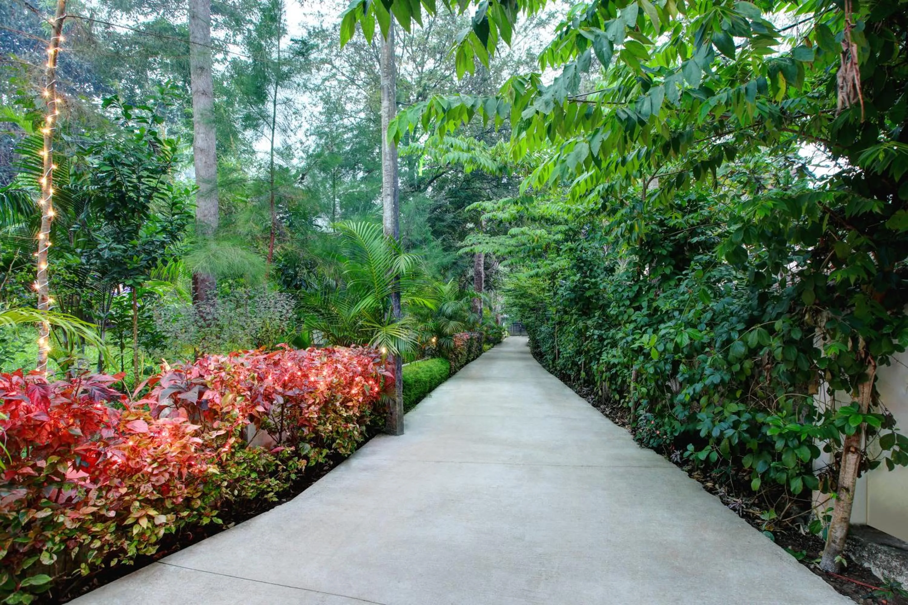 Garden in Gokulam Grand Resort & Spa, Coorg