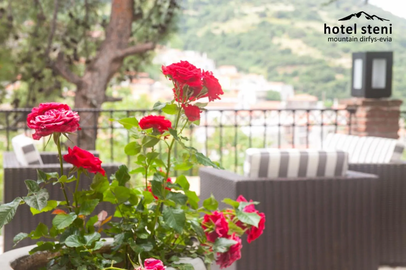 Hotel Steni