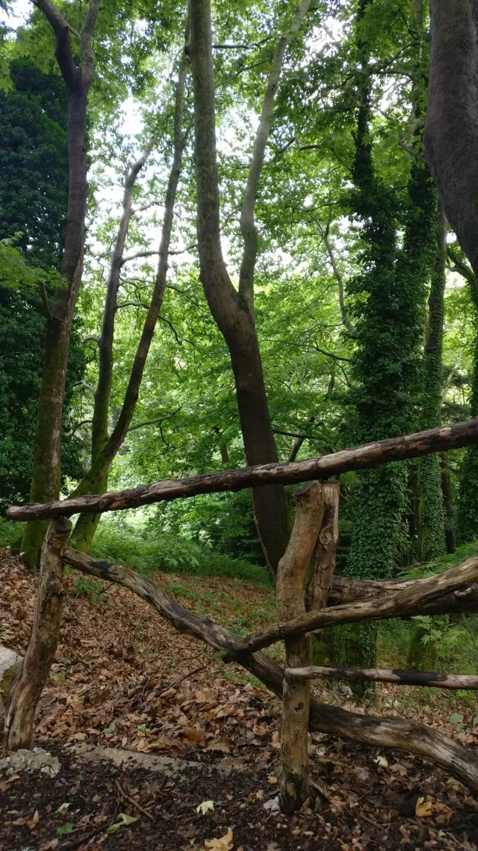 Hiking in Hotel Steni