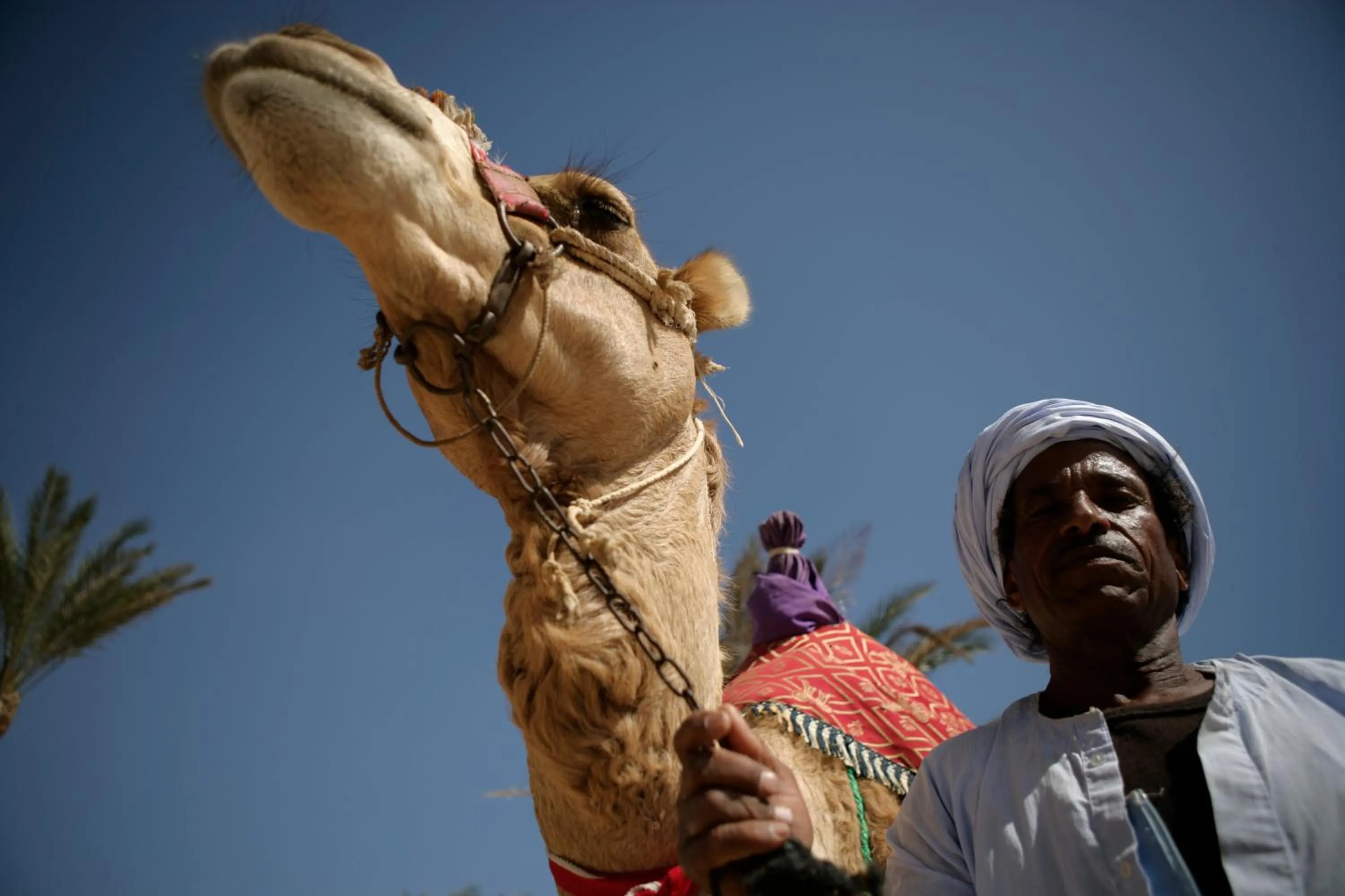 Horse-riding in Flamenco Beach & Resort Quseir