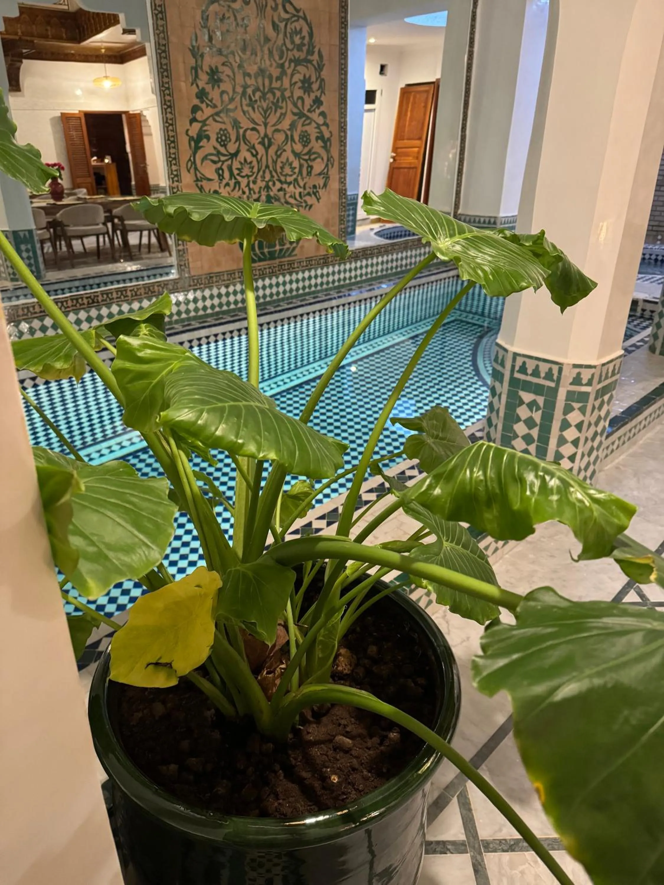 Swimming pool in Riad Atlas Acacia