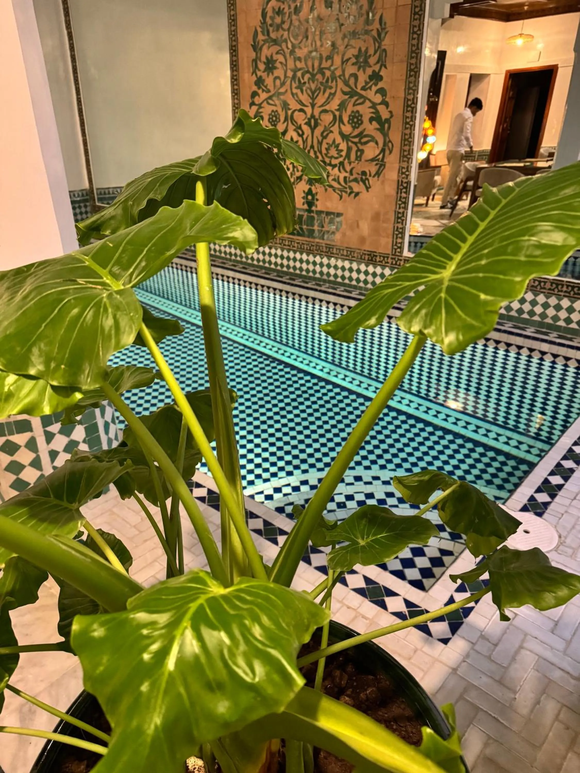 Swimming pool in Riad Atlas Acacia