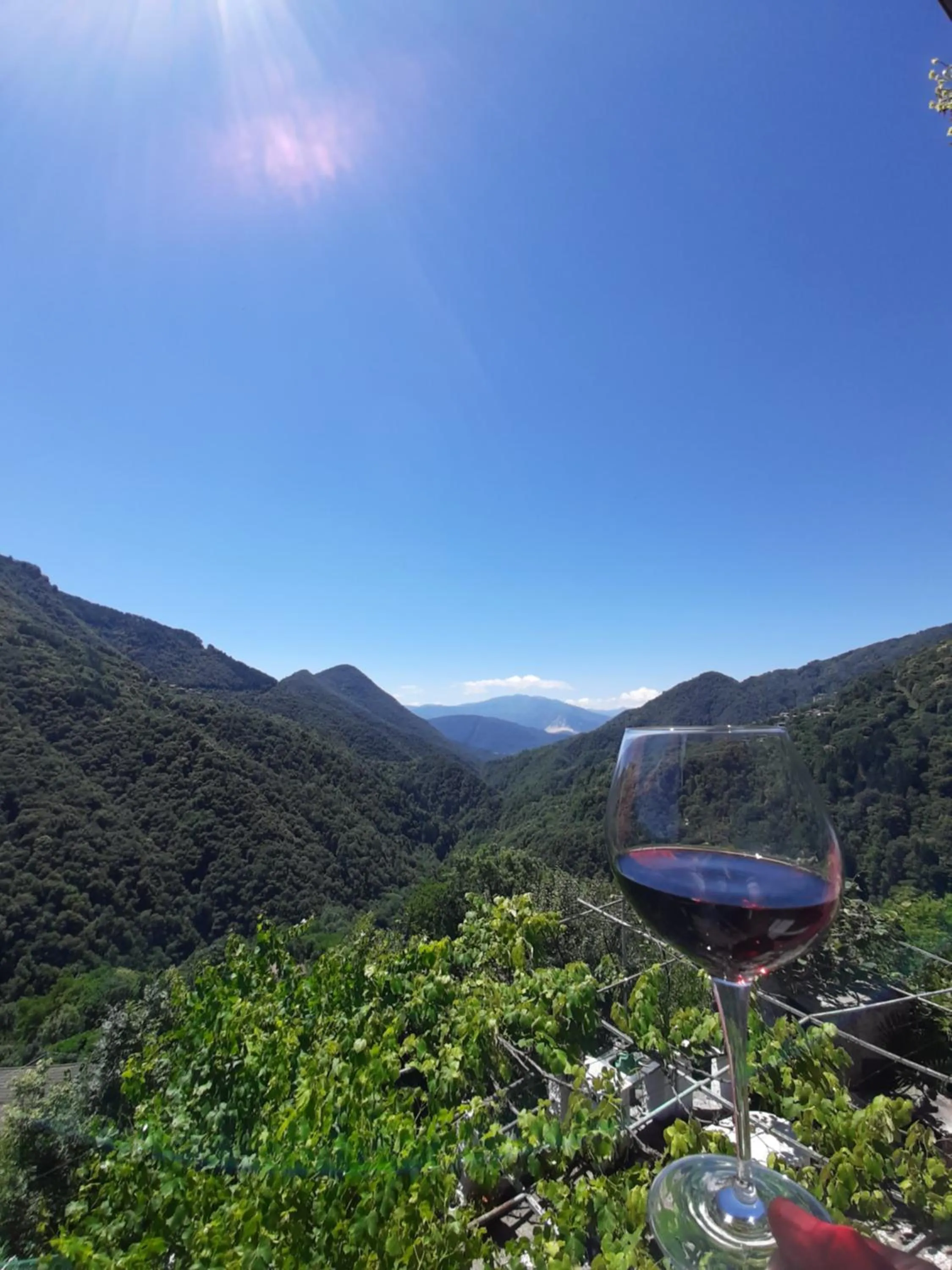 Day in B&B La Locanda del Cinghiale