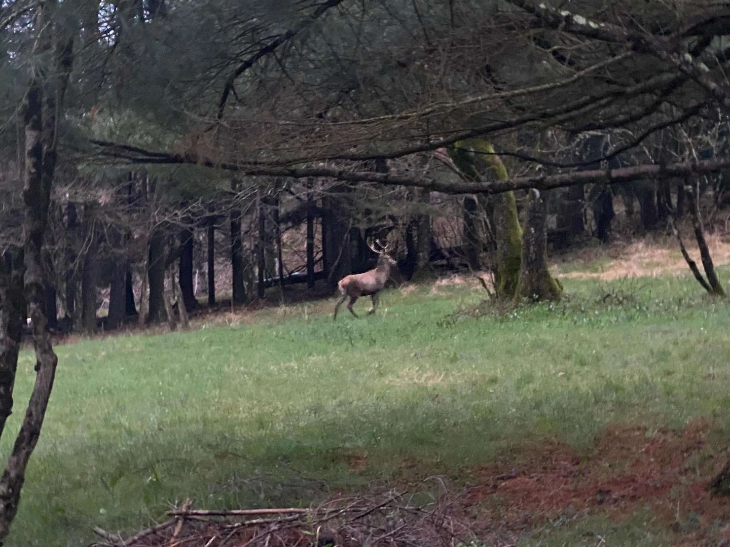 Other in B&B La Locanda del Cinghiale