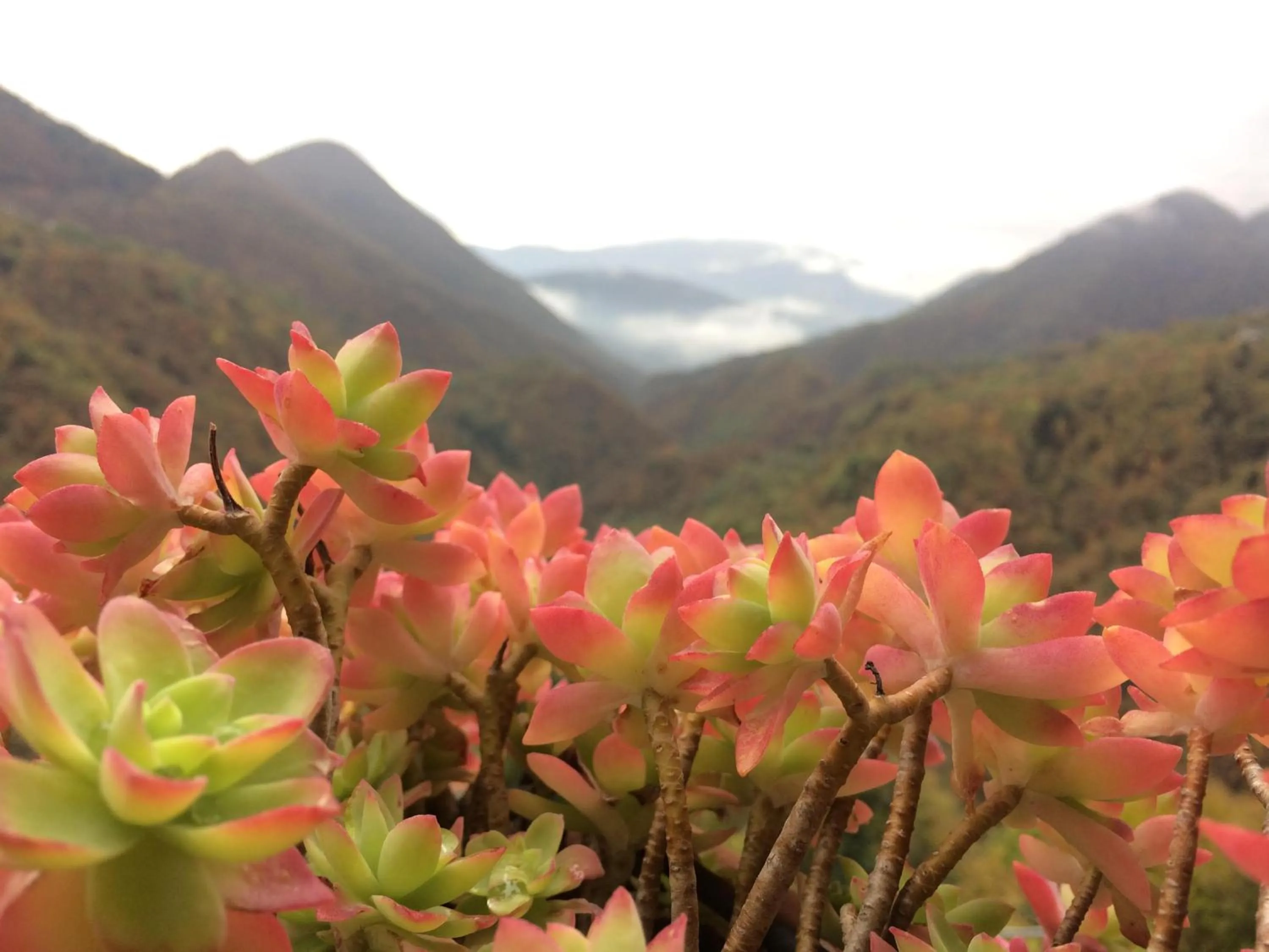 Day in B&B La Locanda del Cinghiale