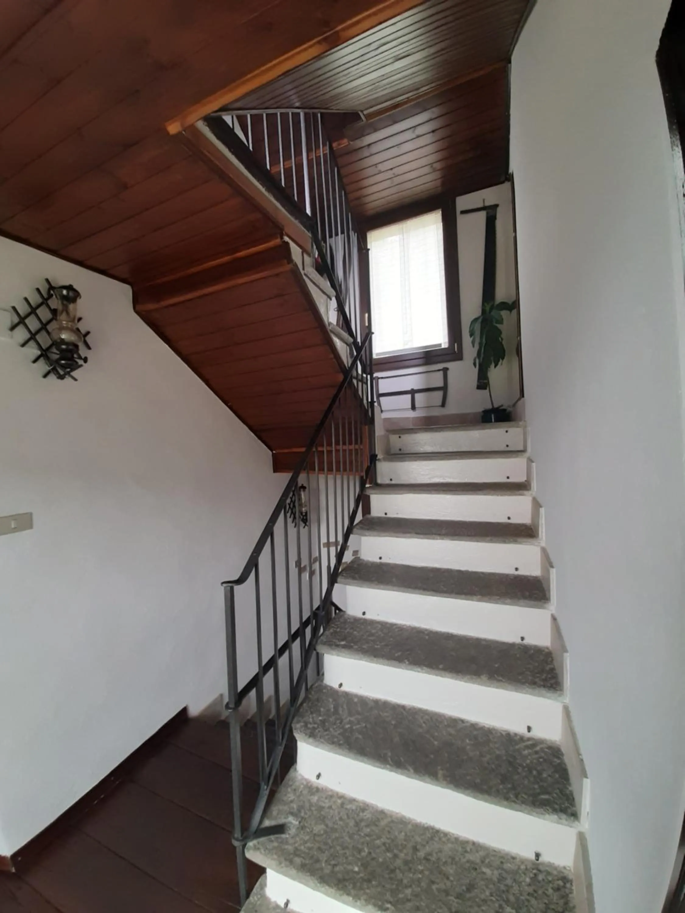 Other in B&B La Locanda del Cinghiale