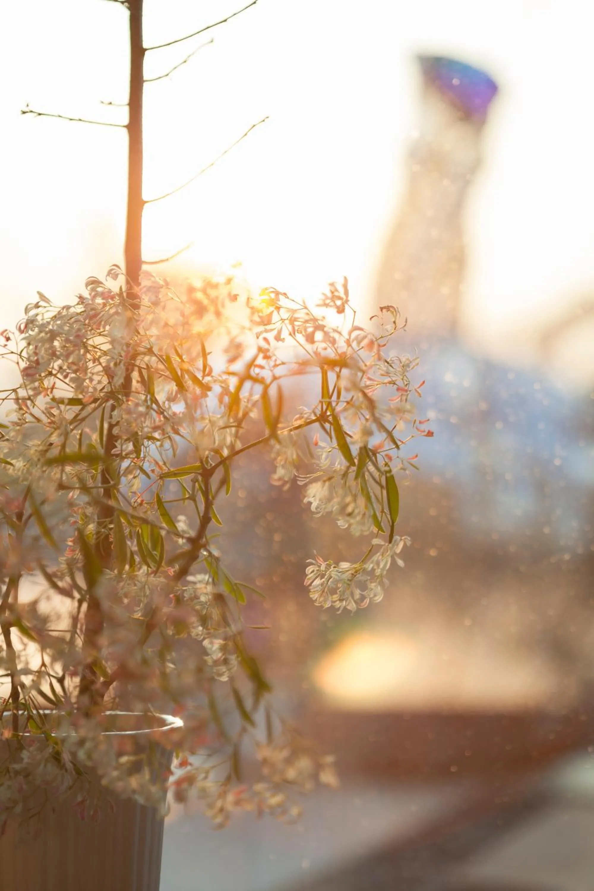 Garden in Nhapha Khaoyai Resort