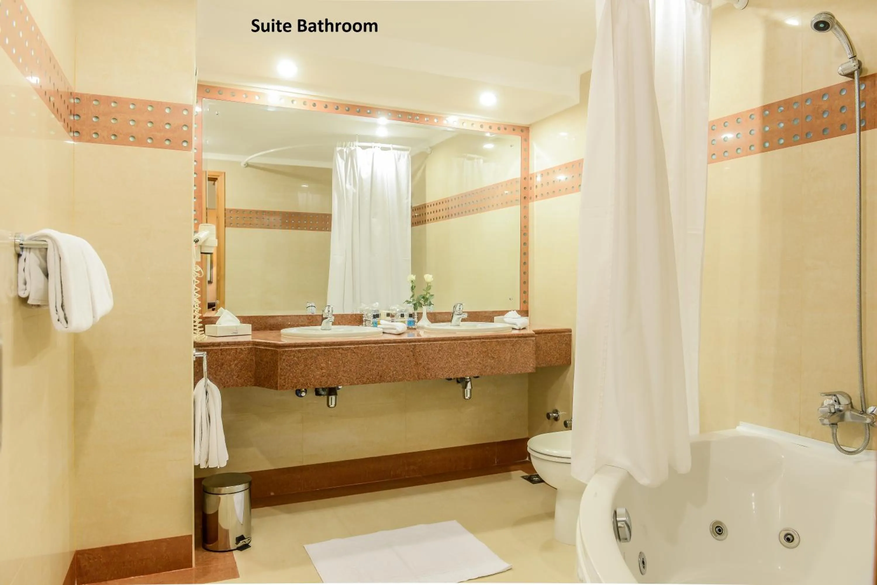 Toilet in Hotel Flamenco Cairo