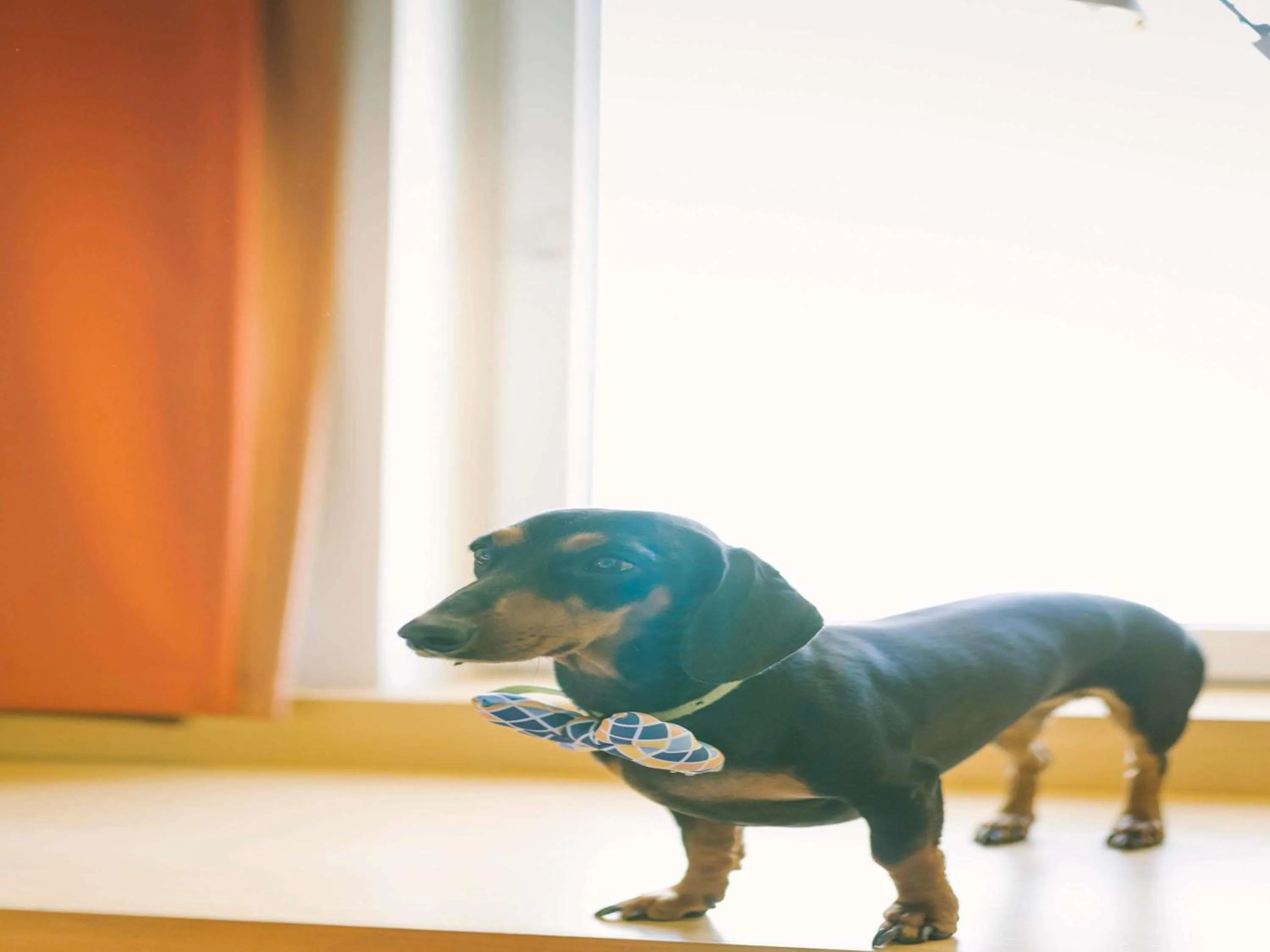 Other in ibis Chennai City Centre - An Accor Brand