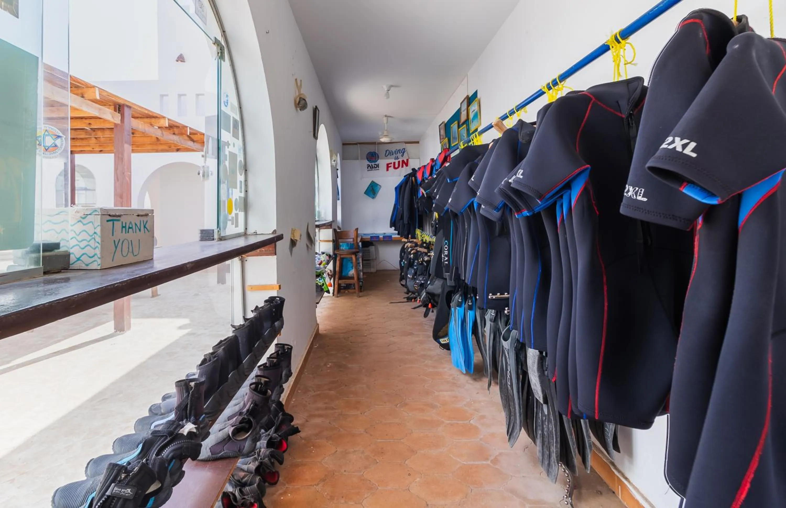 Diving in Daniela Diving Resort Dahab