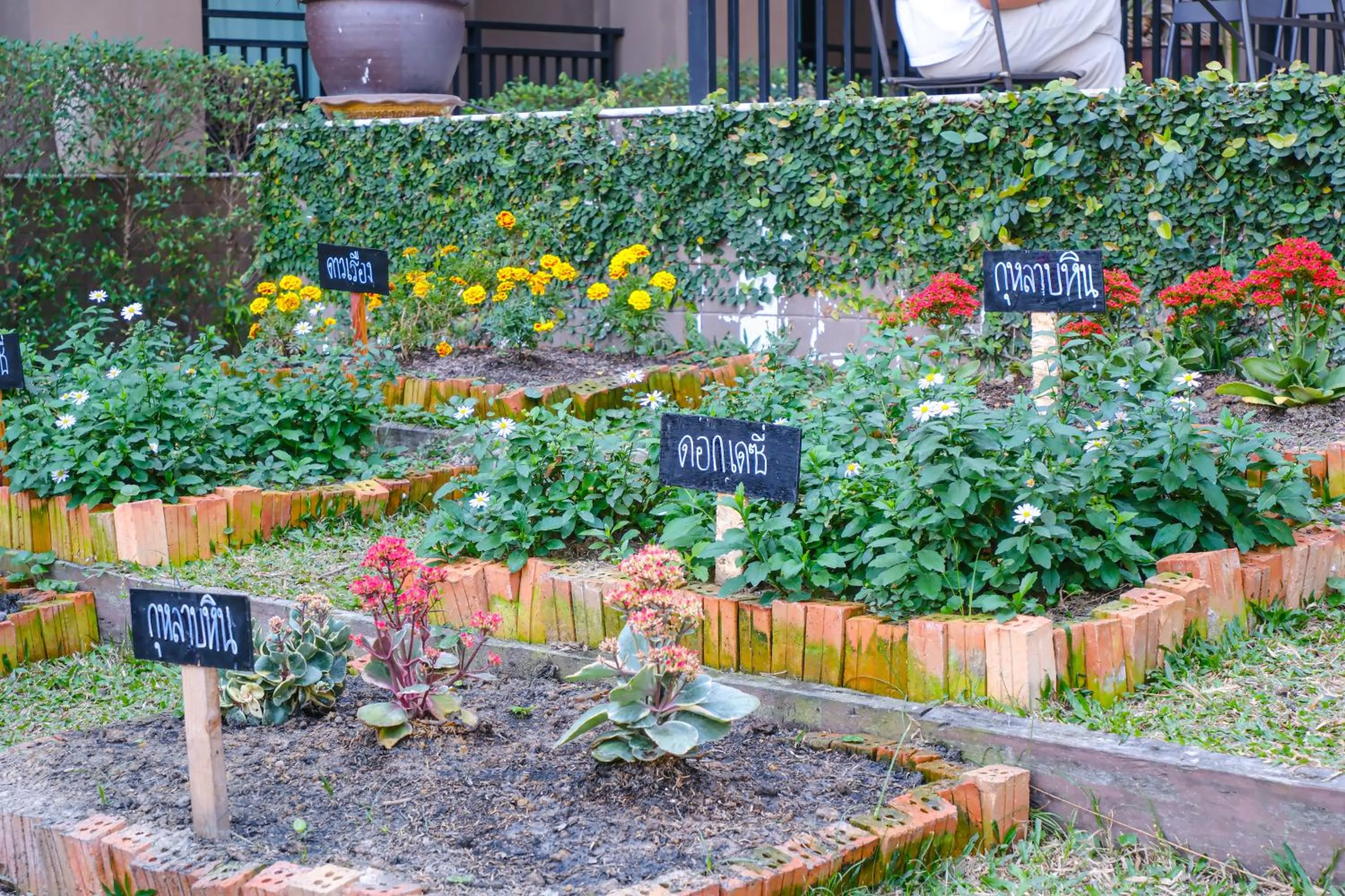 Garden in Brown House Hotel