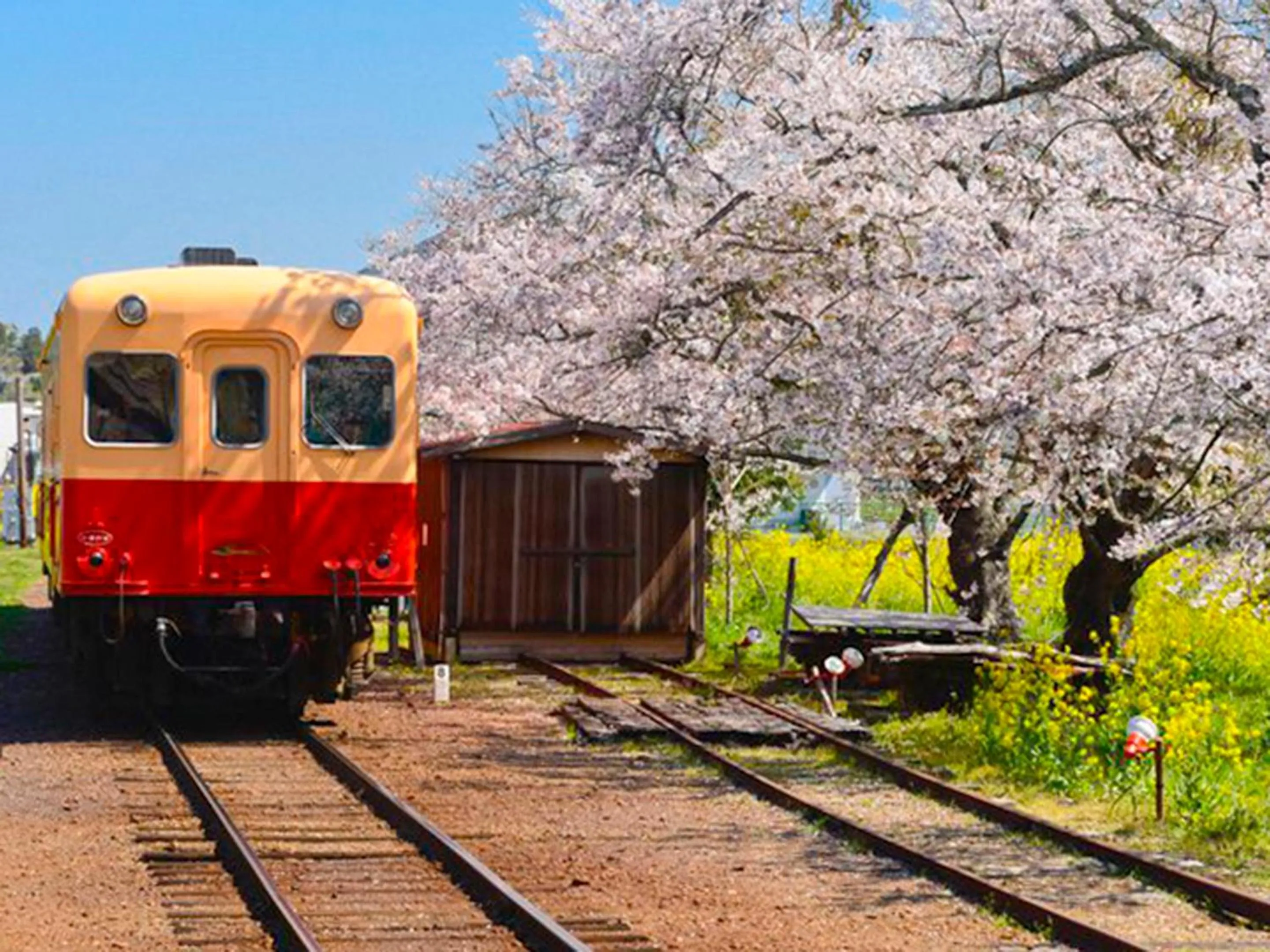 Nearby landmark in Ichihara Marine Hotel