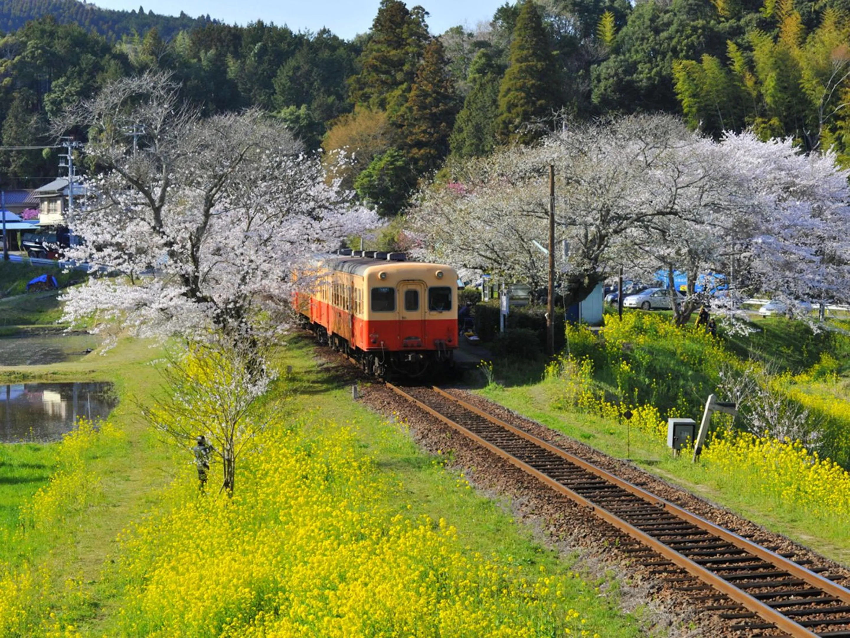 Nearby landmark in Ichihara Marine Hotel