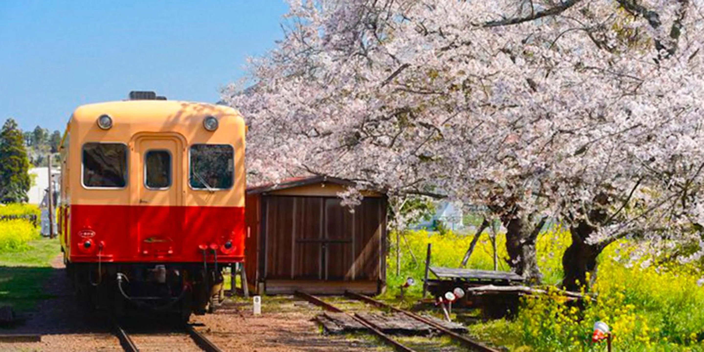 Nearby landmark in Ichihara Marine Hotel