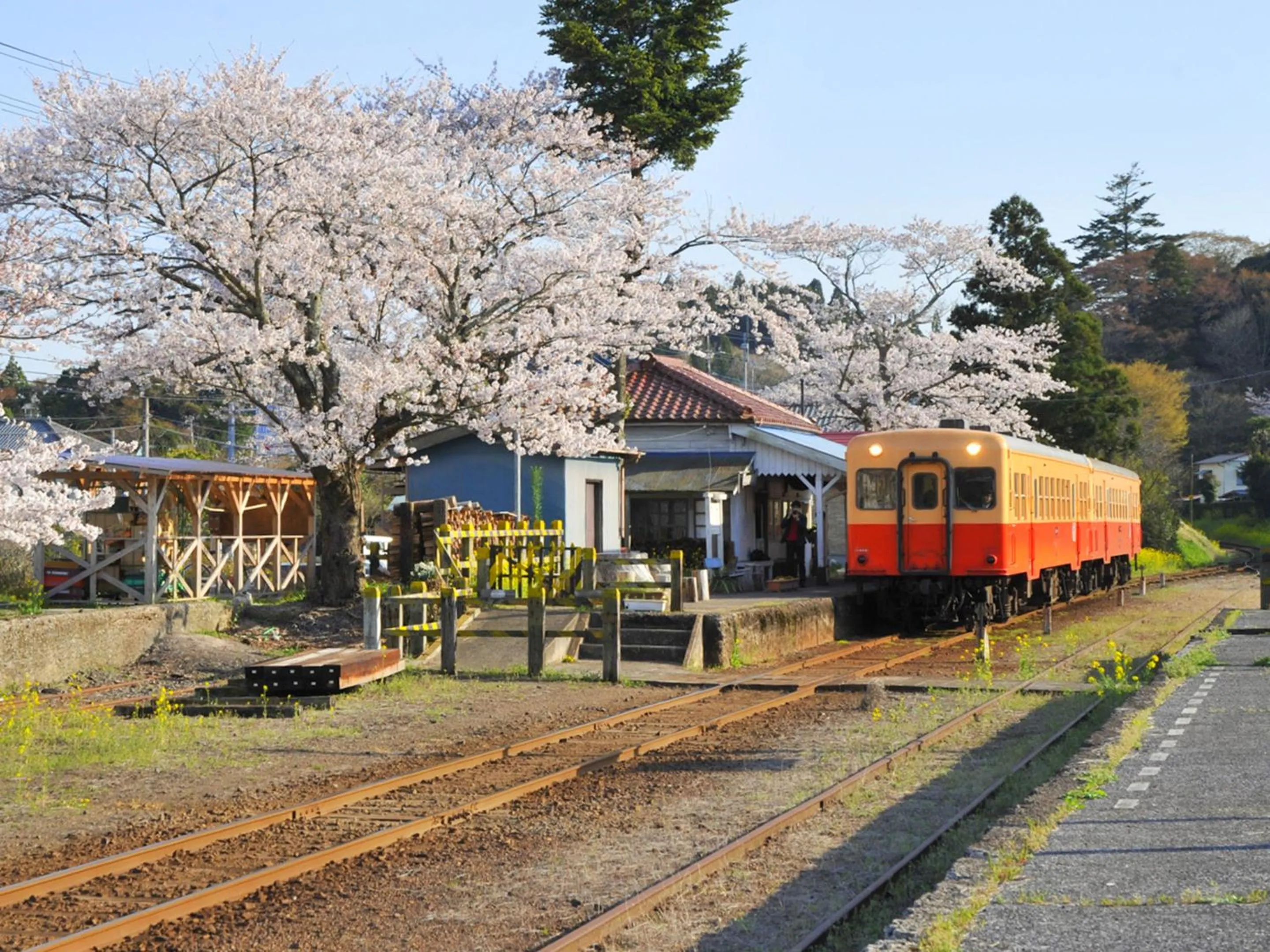 Nearby landmark in Ichihara Marine Hotel
