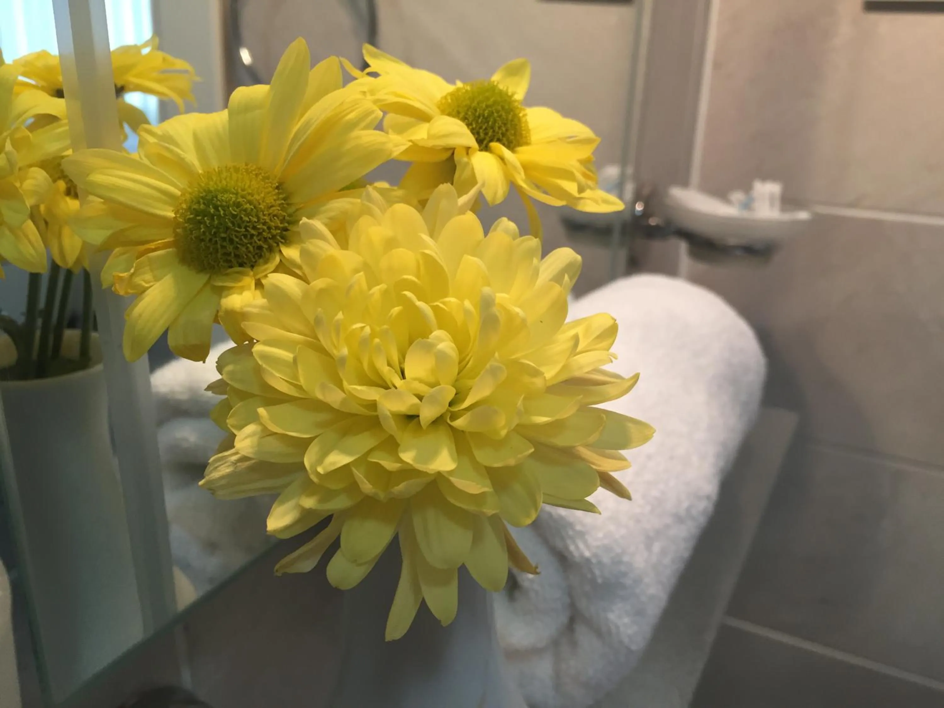 Bathroom in Goji's Apartments