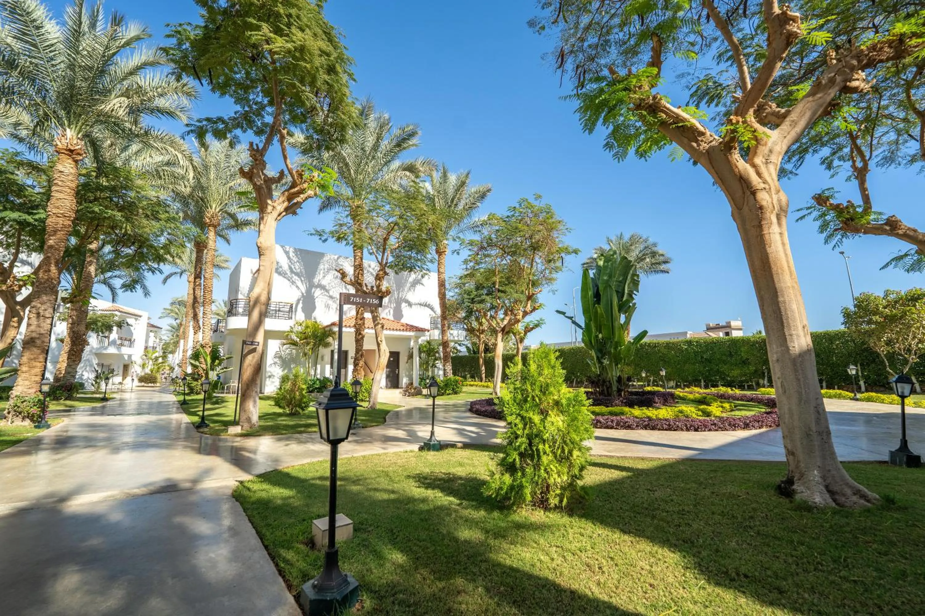 Photo of the whole room in JAZ Fanara Resort