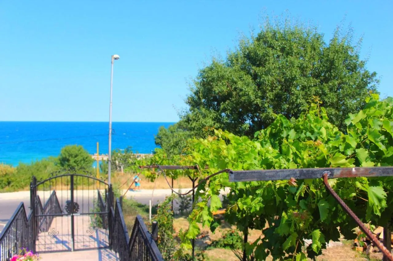 Day in Villa Katalina