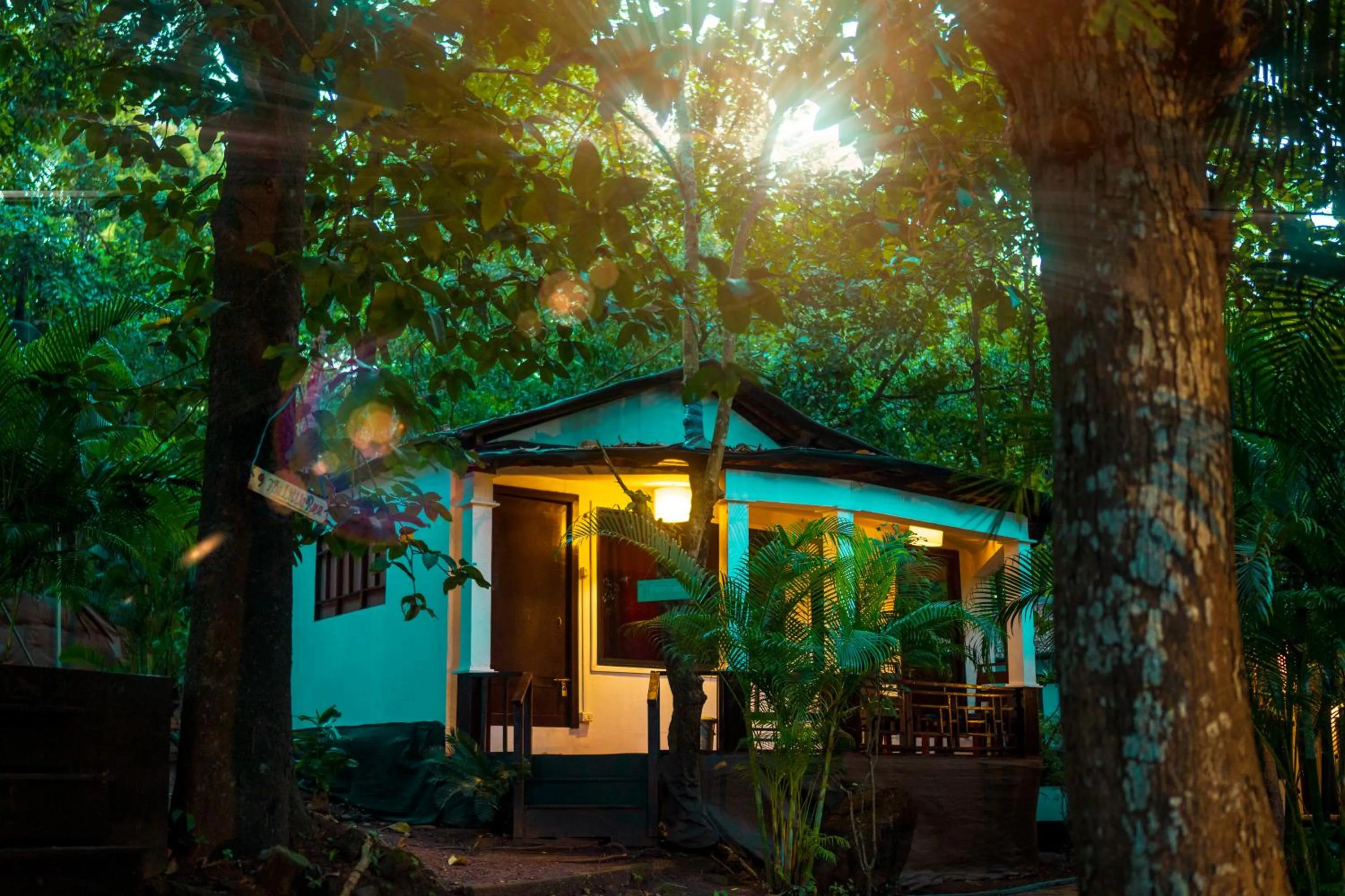 View (from property/room) in La La Land Resort Goa