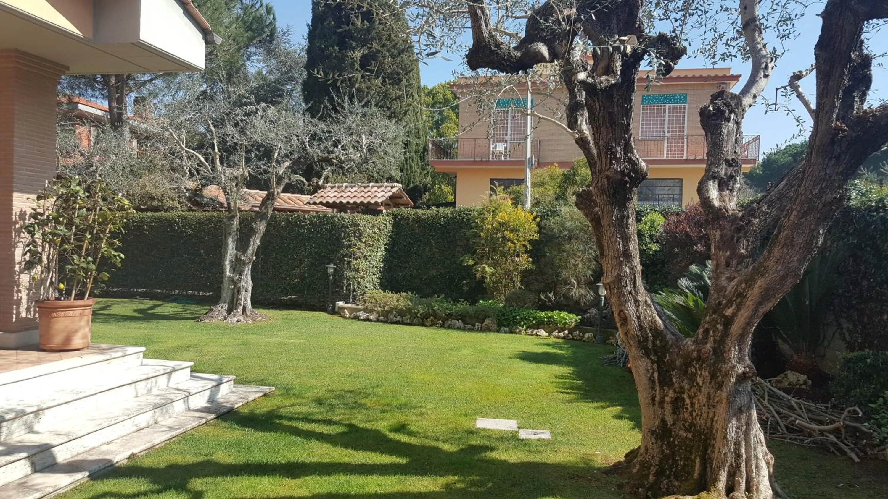Garden view in Aurelia Garden Gold B&B