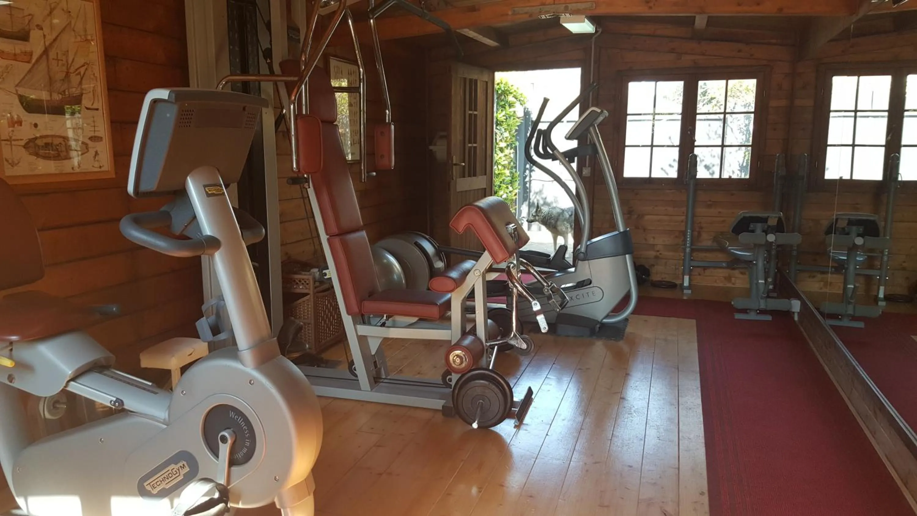 Fitness centre/facilities in Aurelia Garden Gold B&B