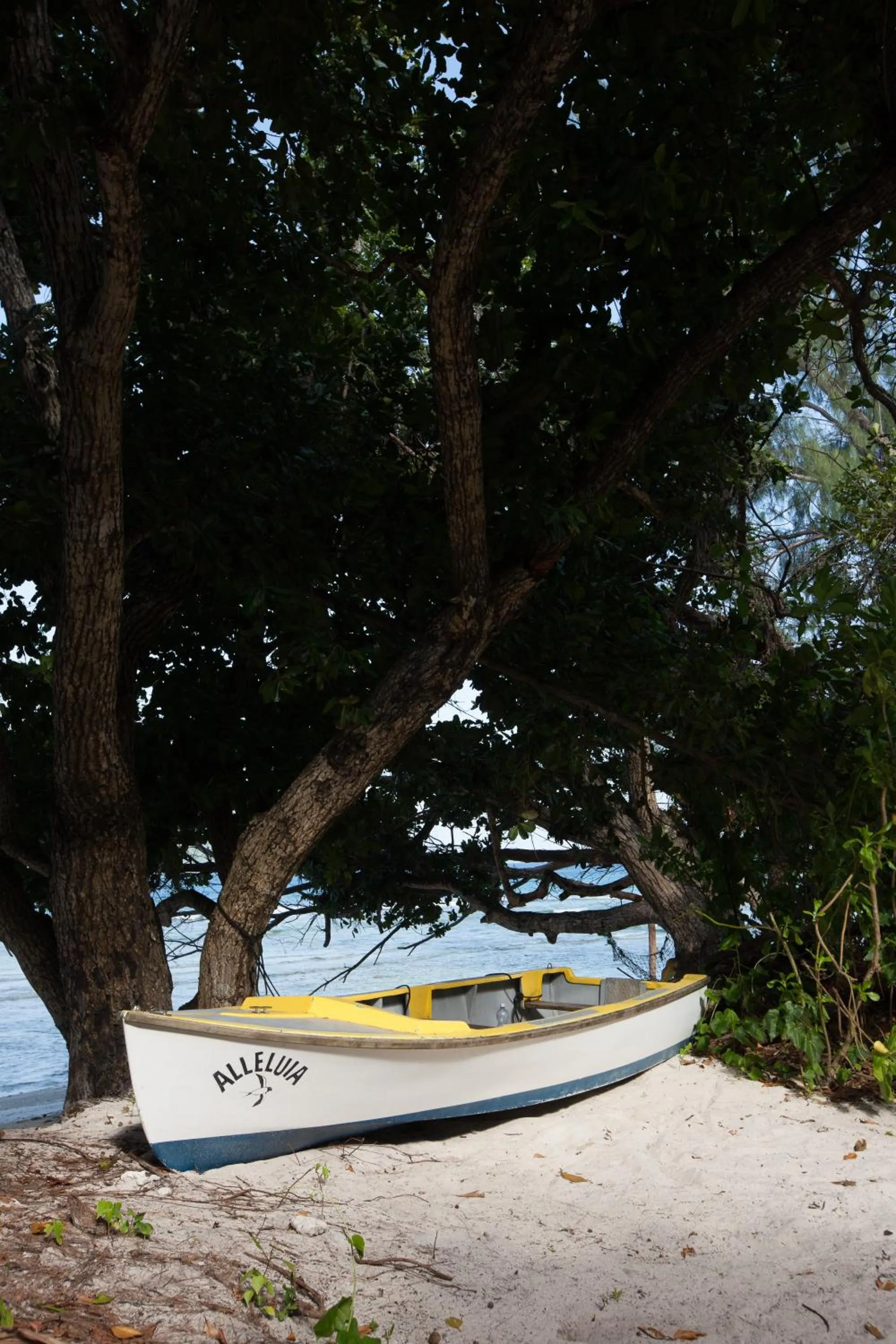 Day in Le Relax Luxury Lodge