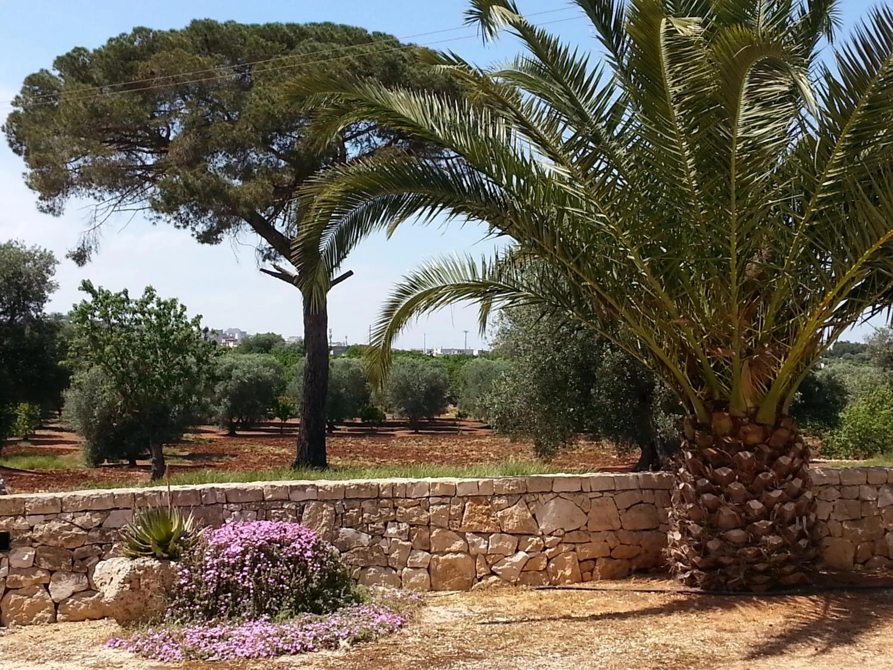 Garden in B&B Demetra